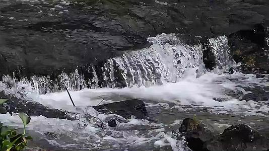 山涧溪流小河流水野外视频实拍视频的预览图