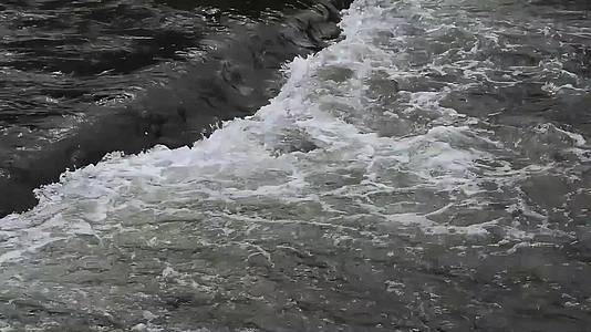 山涧溪流小河流水野外视频实拍视频的预览图