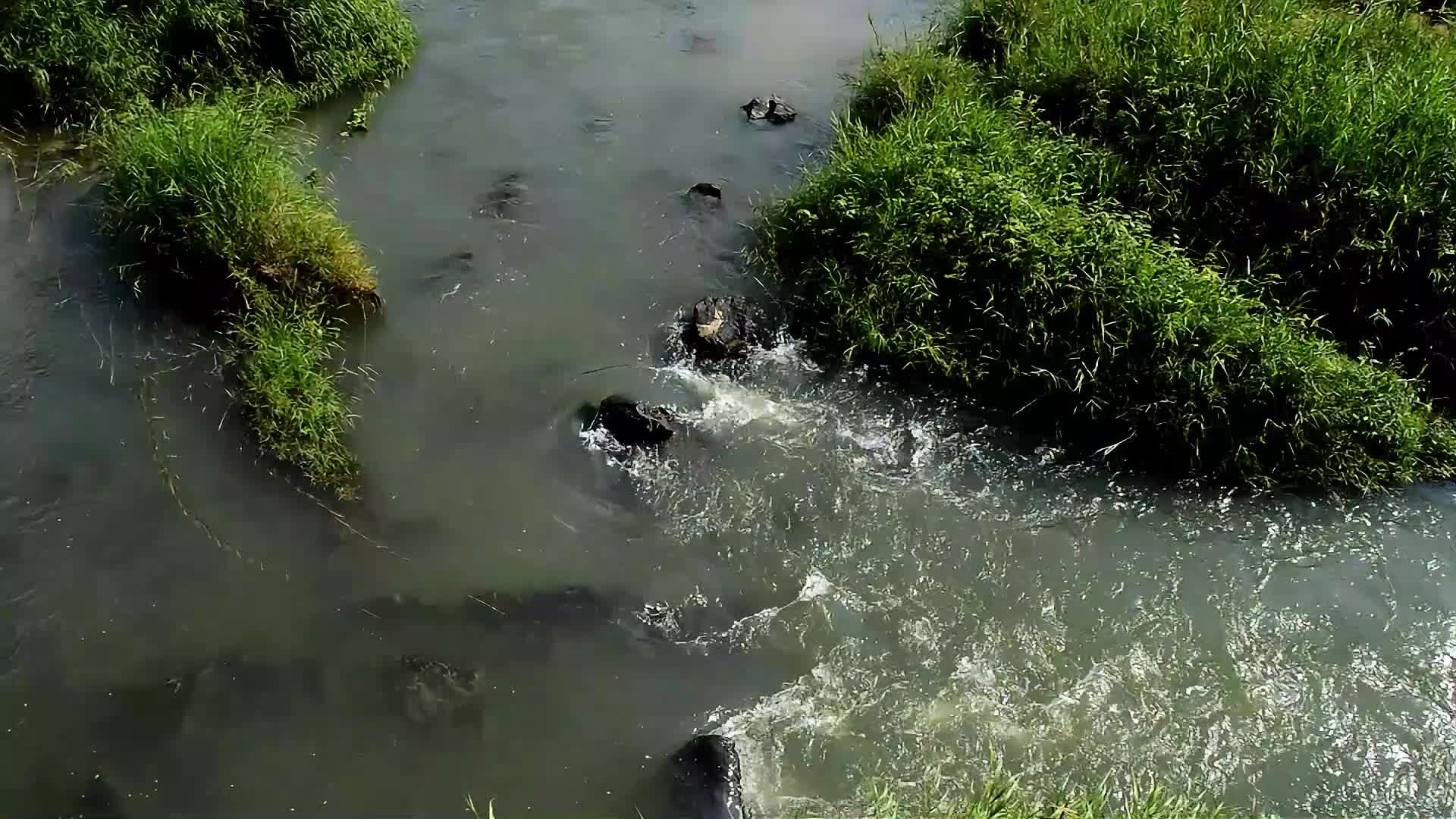 高山流水山泉瀑布视频视频的预览图