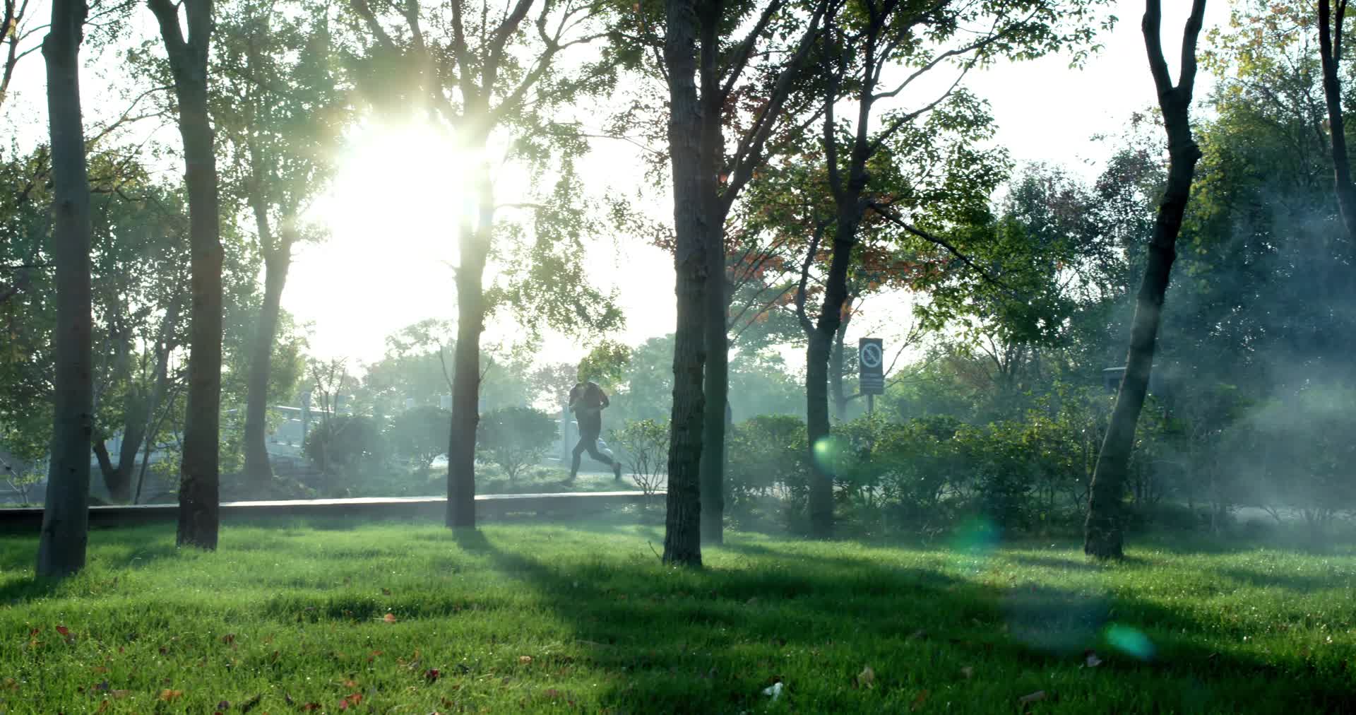 97清晨阳光下公园跑步健身锻炼的健康生活年轻人视频的预览图