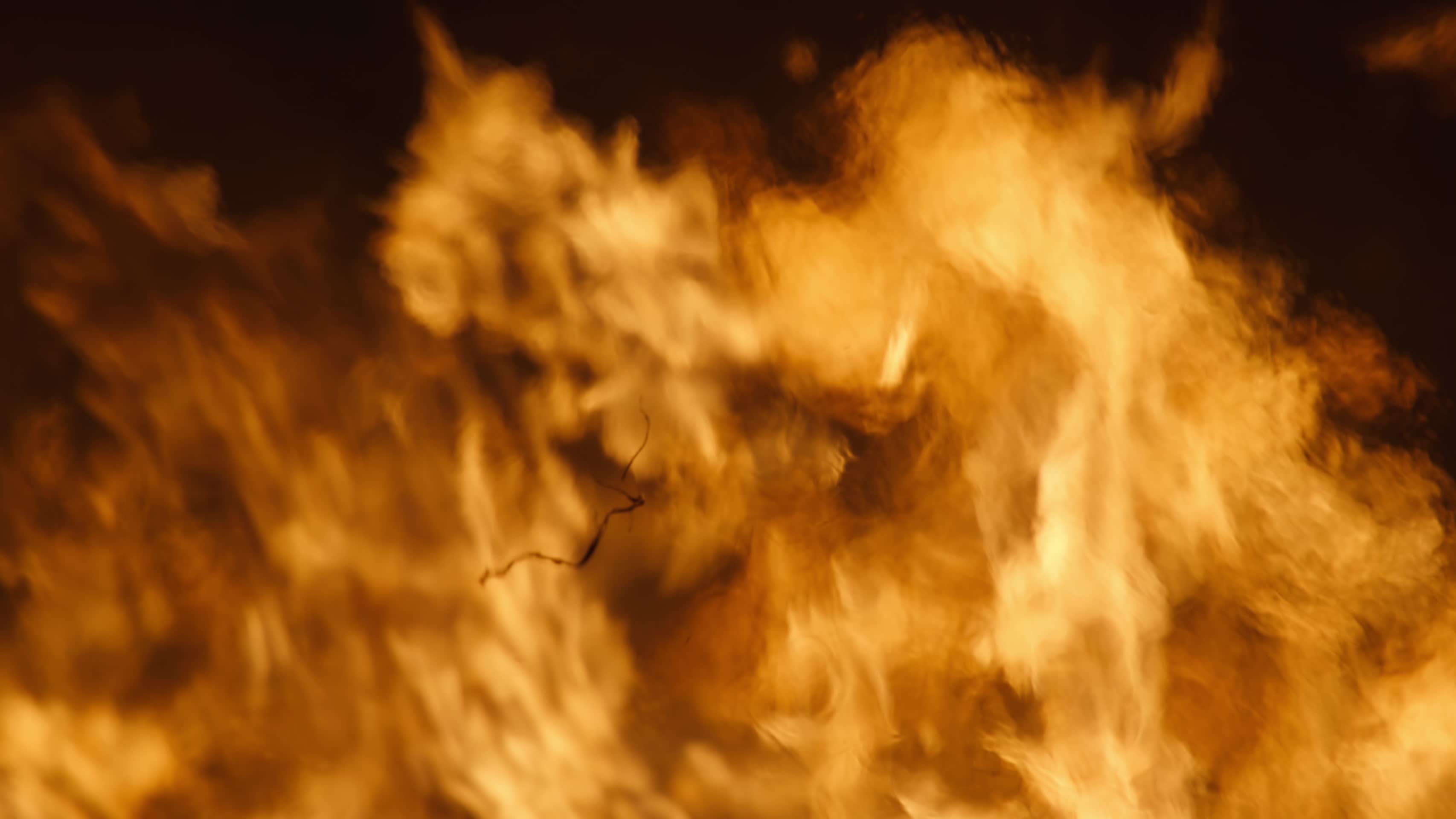 火焰燃烧炭火柴火篝火熊熊烈火升格特写视频的预览图