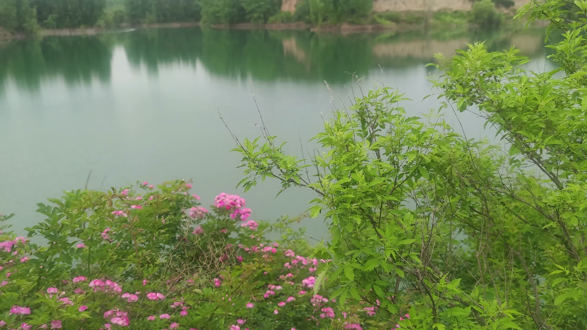 河水湖畔自然风景视频的预览图