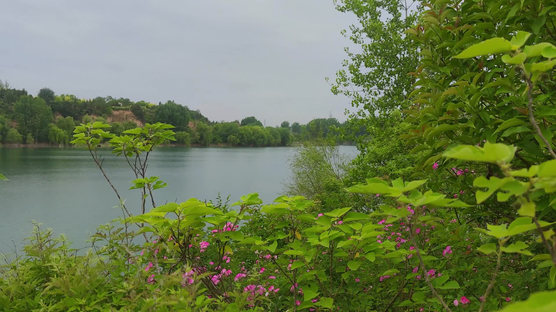 园林湖畔自然风光视频的预览图