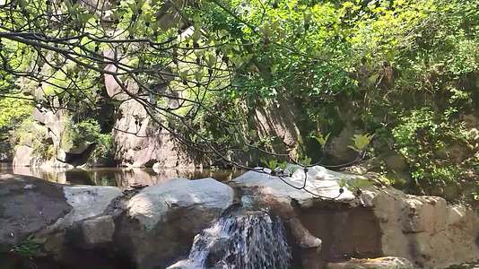 洛阳西泰山景区溪流及摇动的树枝视频的预览图