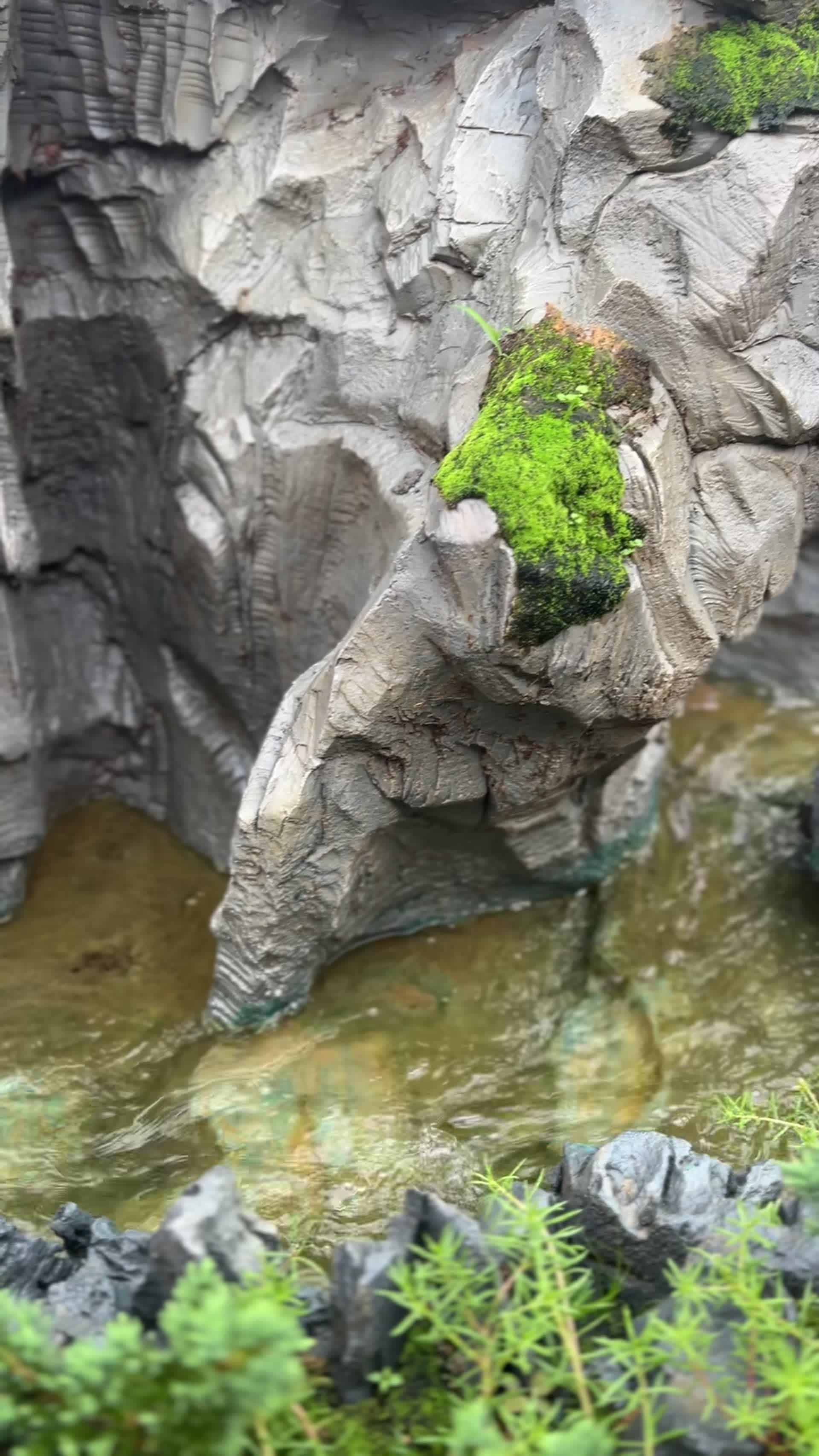 假山石头水流烟雾人工造景园林视频的预览图