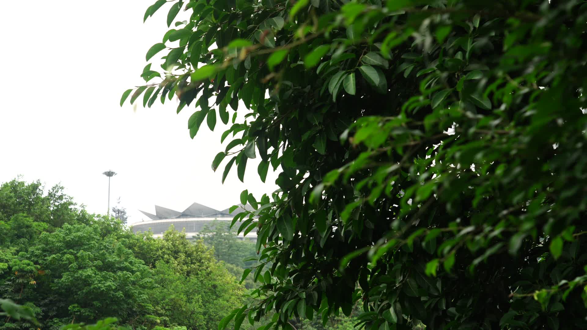 南宁国际会展中心广西南宁朱槿花城市风景标志建筑南宁风光视频的预览图