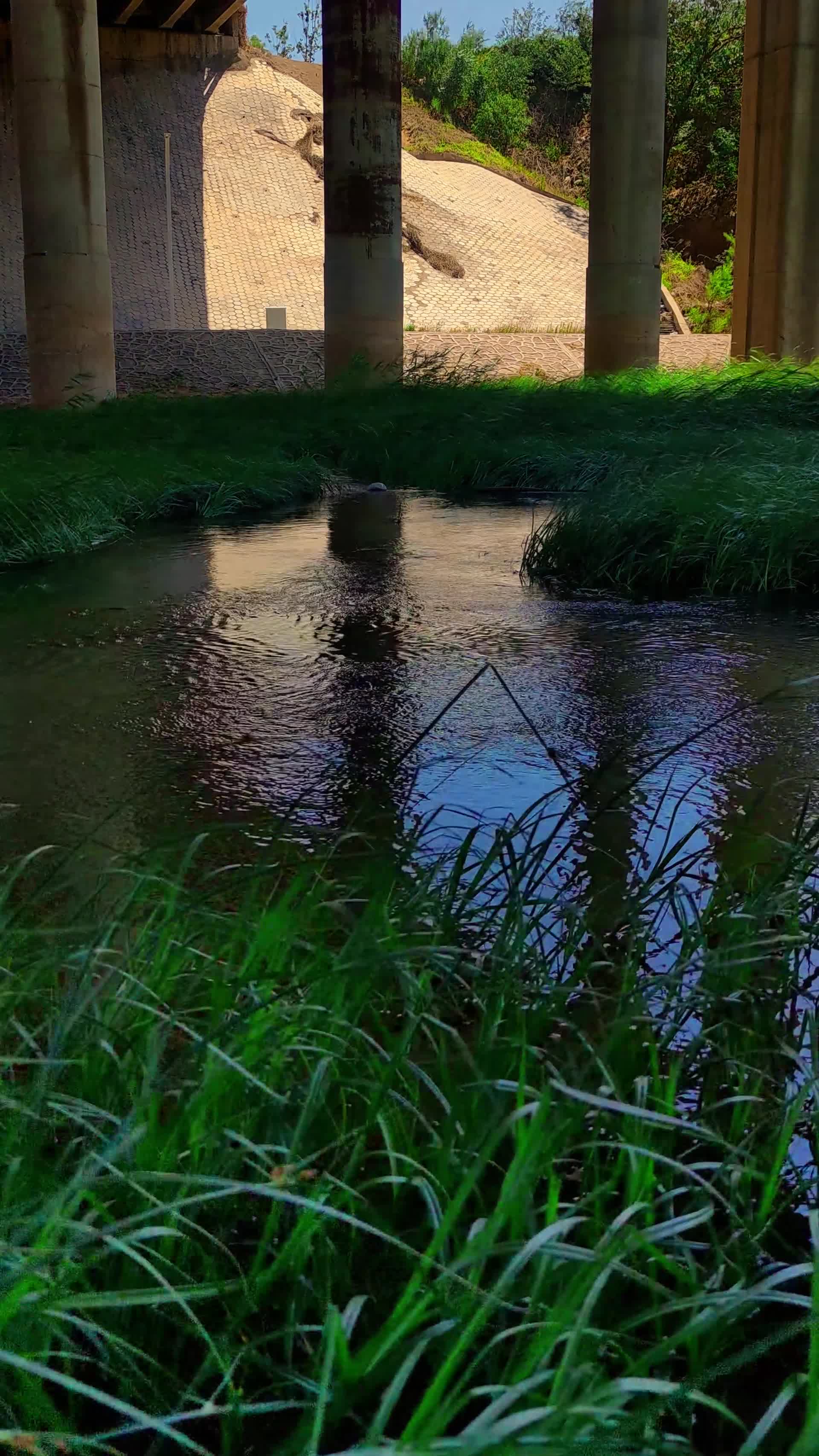高架桥下小河沟阳光溪水视频的预览图