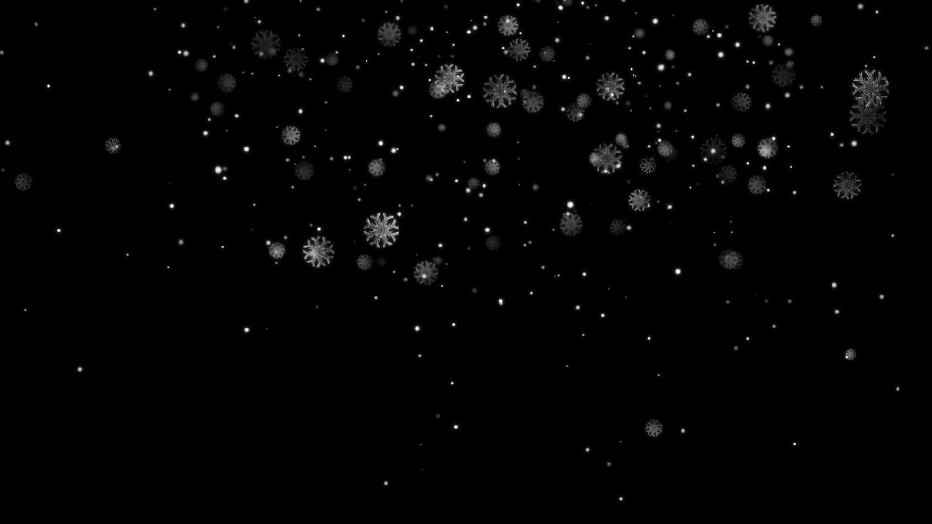 冬日雪花飘落带通道视频的预览图