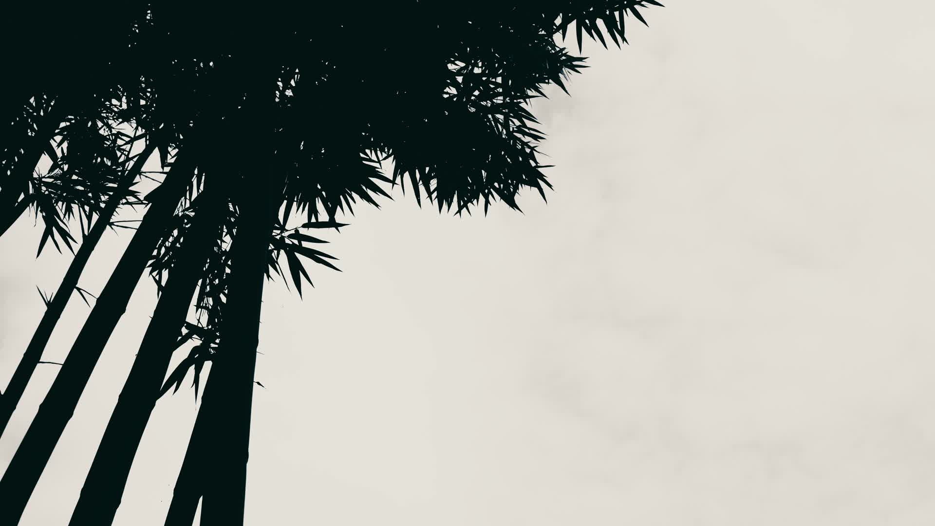 风卷残云历史沧桑变化竹林树叶阳光艺术感视频的预览图