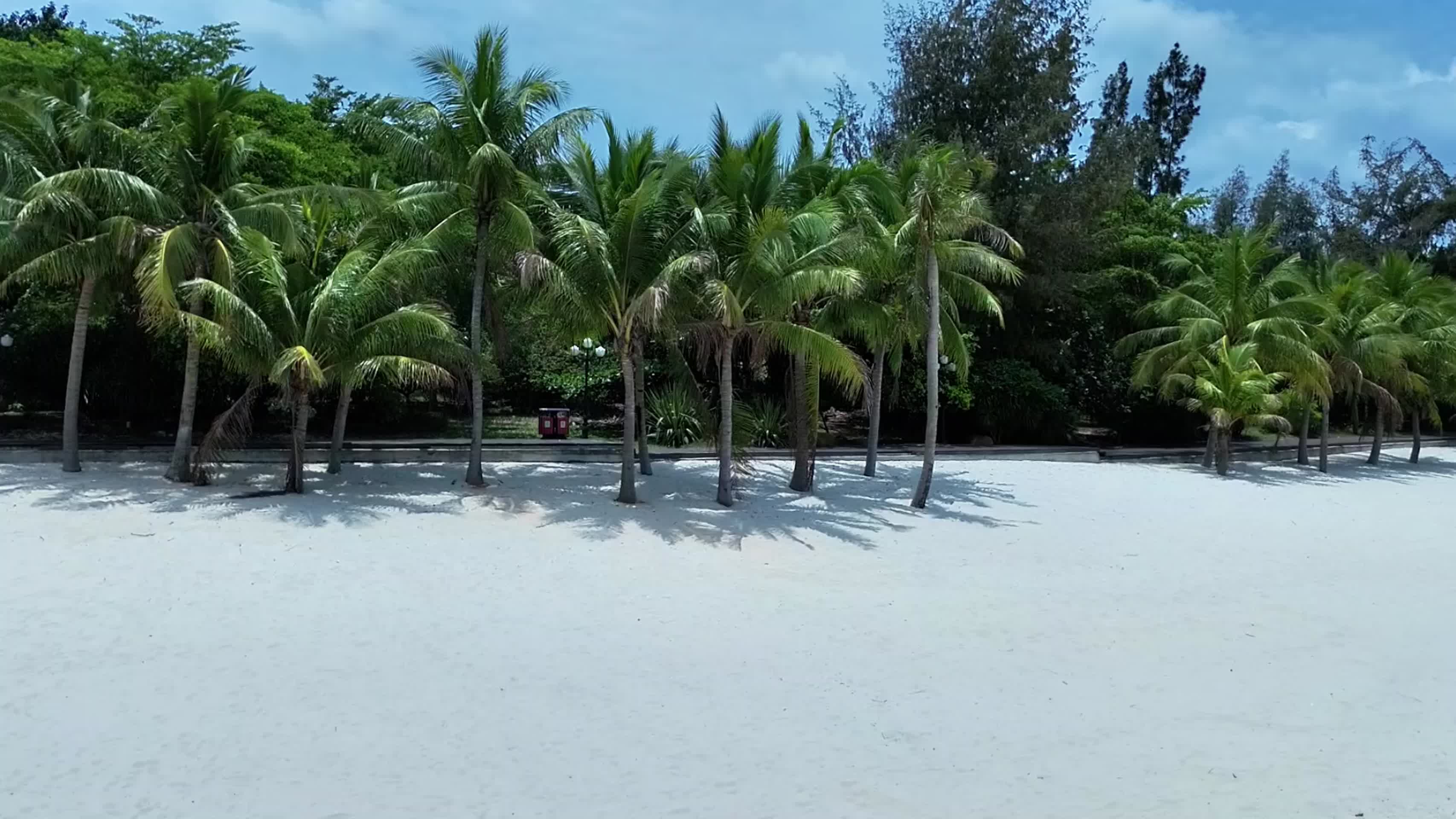 航拍视频沙滩椰子树视频的预览图