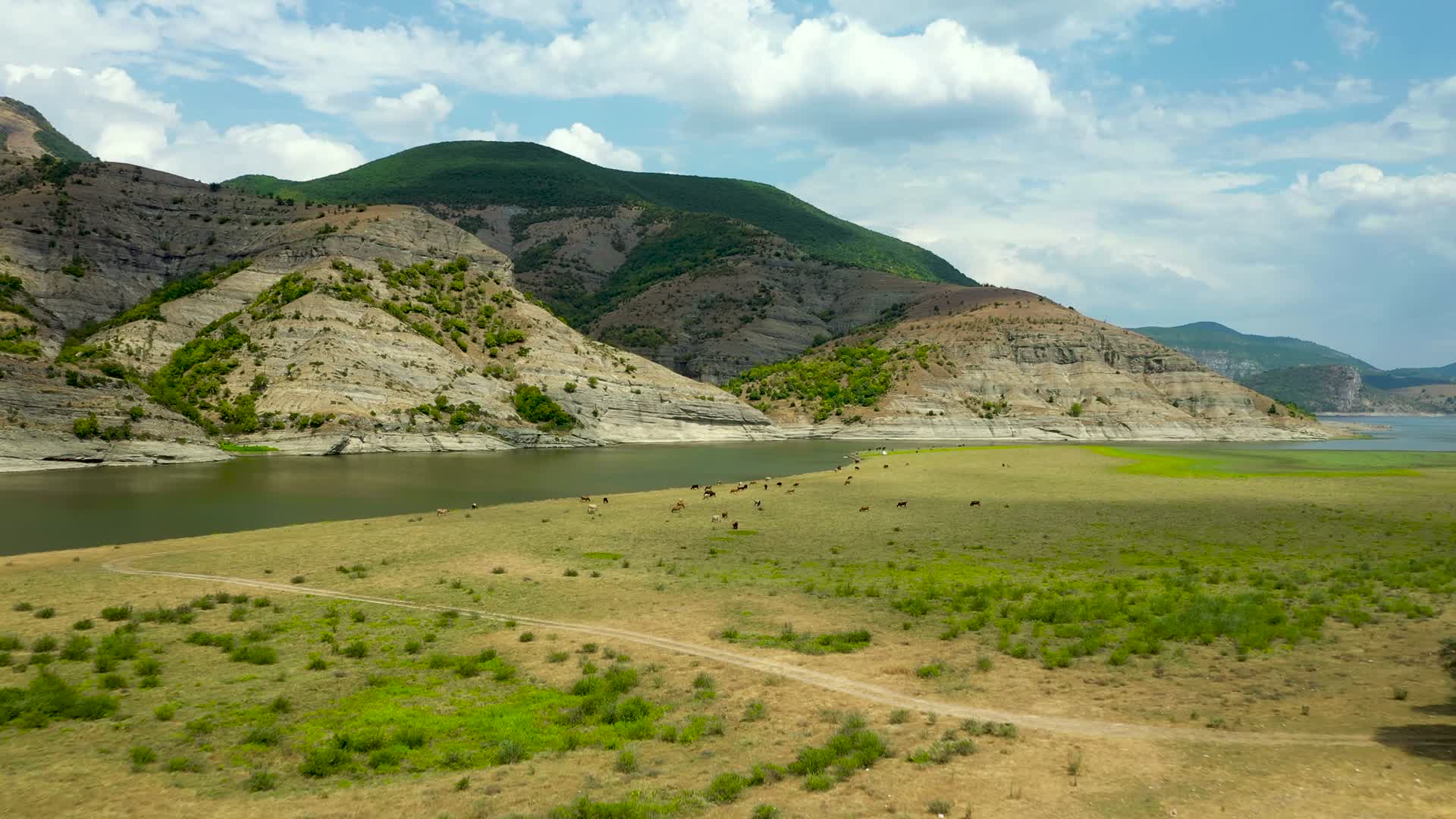 航拍草原牛羊山脉河流视频的预览图
