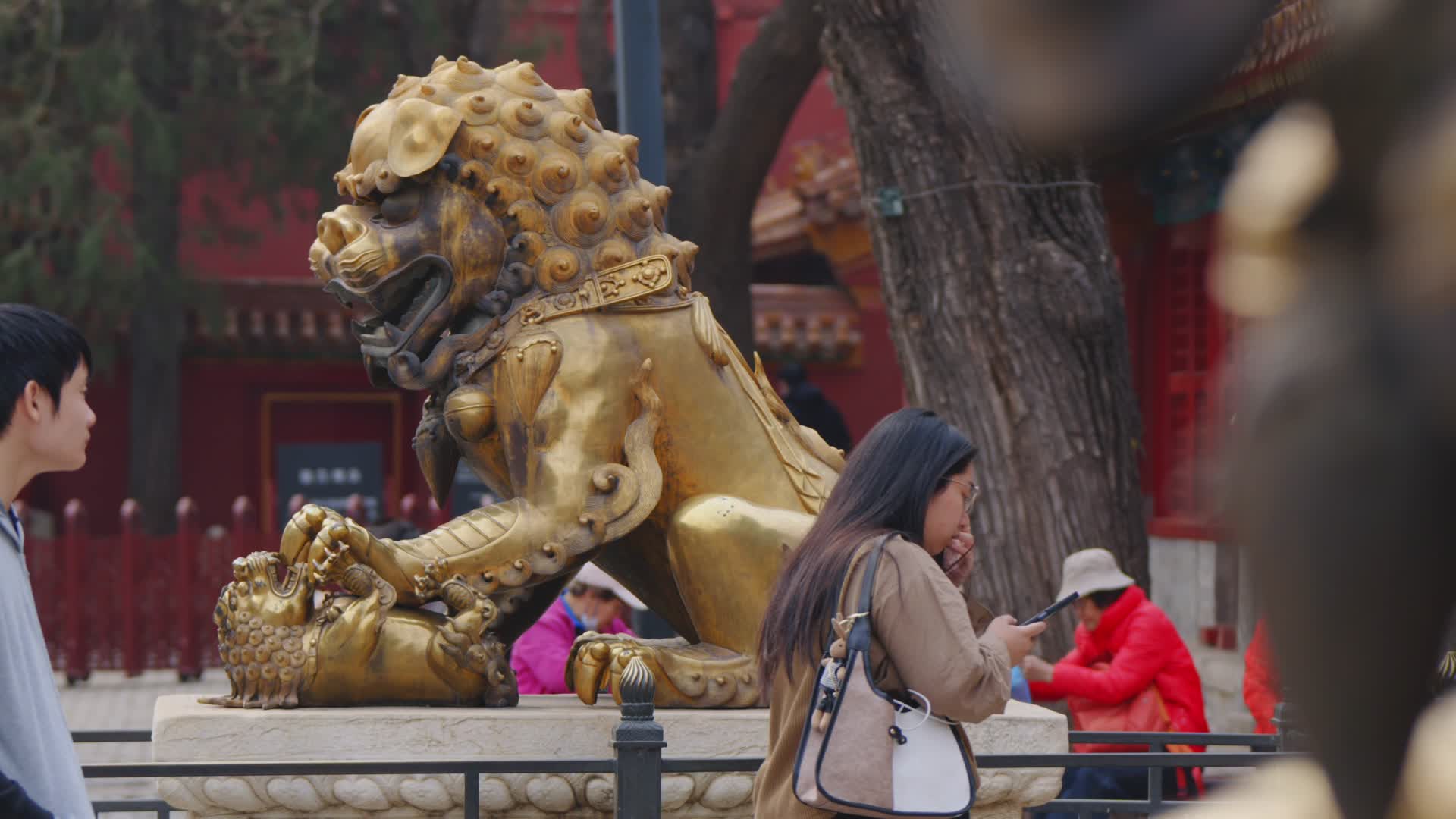 故宫守门金狮神兽视频的预览图