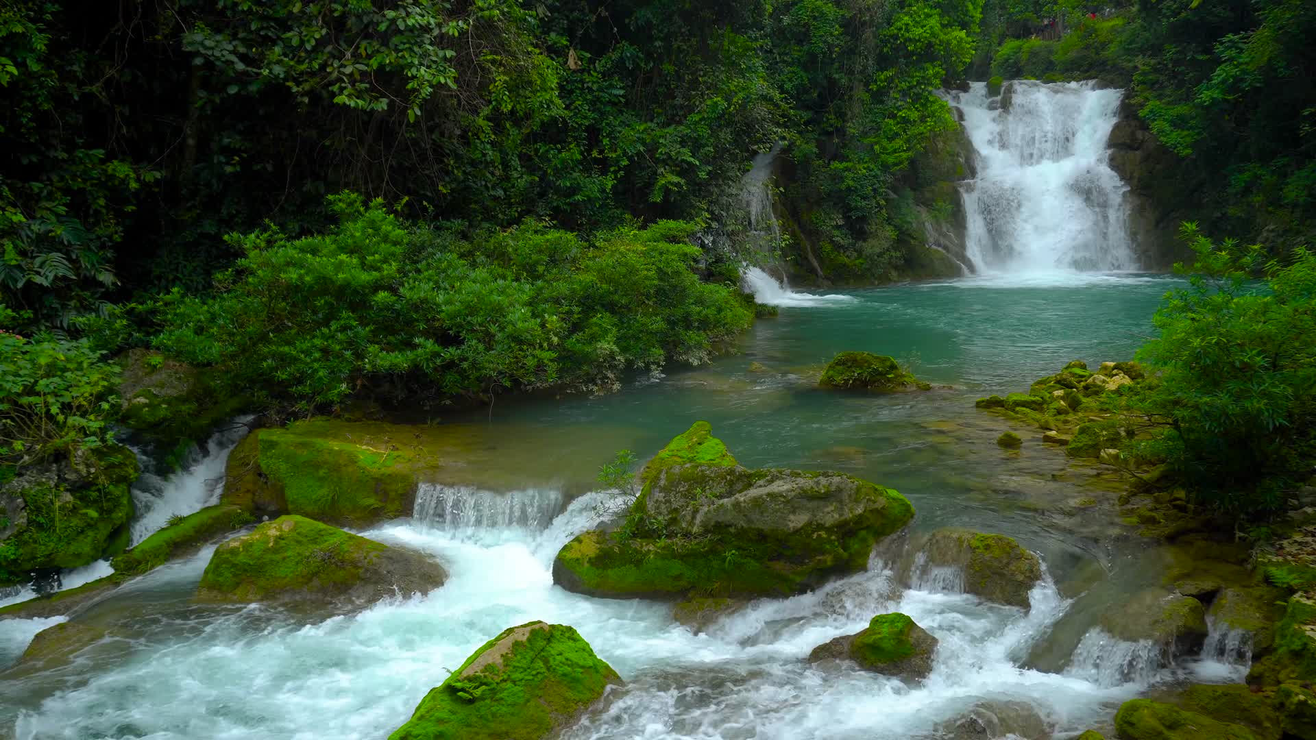 瀑布河流山谷流水树木森林视频的预览图