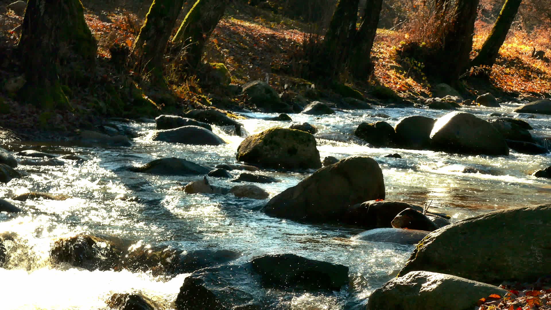 4k航拍森林小溪自然碧绿流水视频的预览图