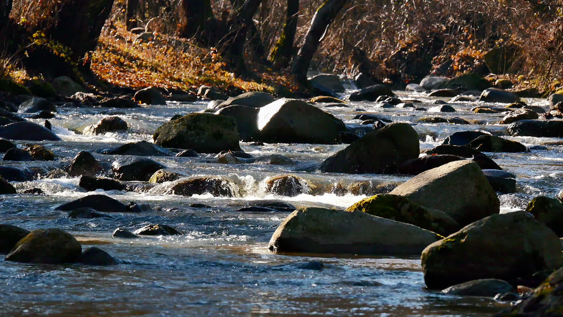 4k小溪流水自然意境视频的预览图