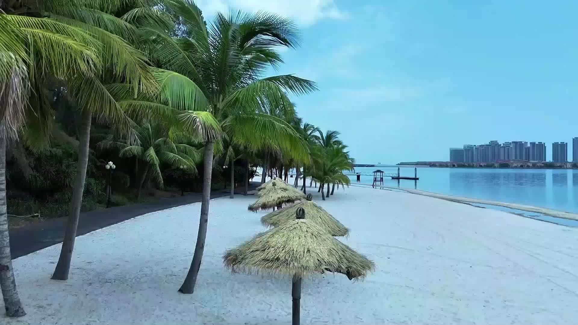 海南风光沙滩椰子树视频的预览图