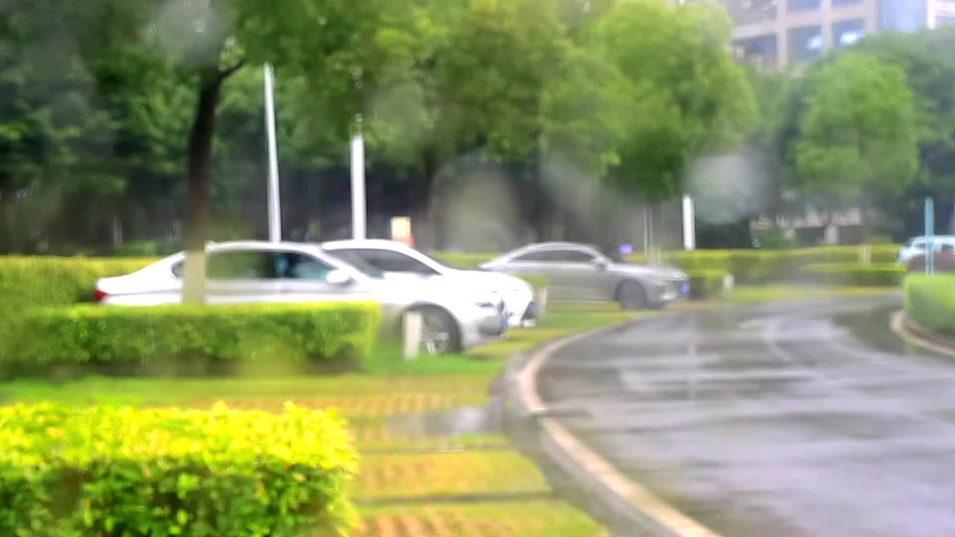白天雨中停车场车窗内外焦点变动过程视频的预览图