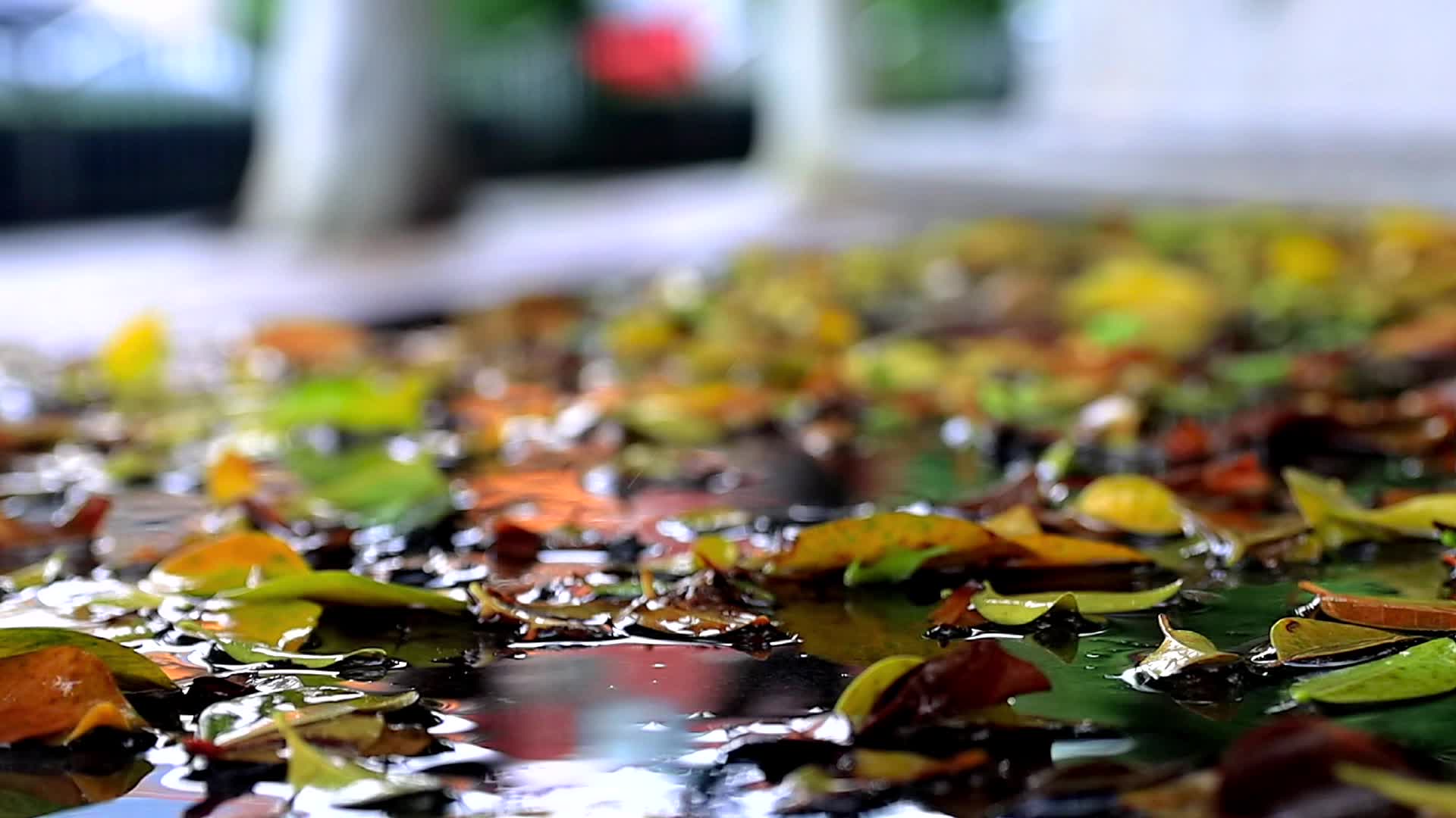 雨水洒落石材地面枯枝败叶上的慢镜头高清视频的预览图