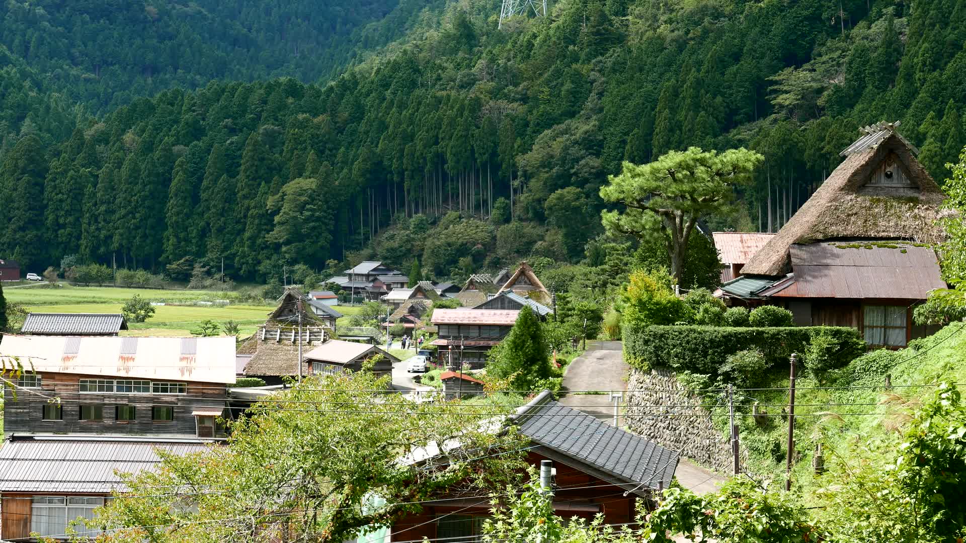 4k日本的传统村落视频的预览图
