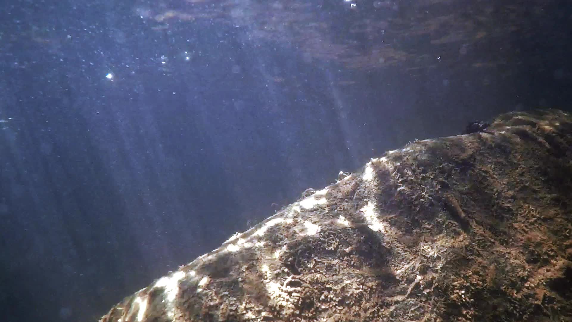 高清水下阳光视频的预览图