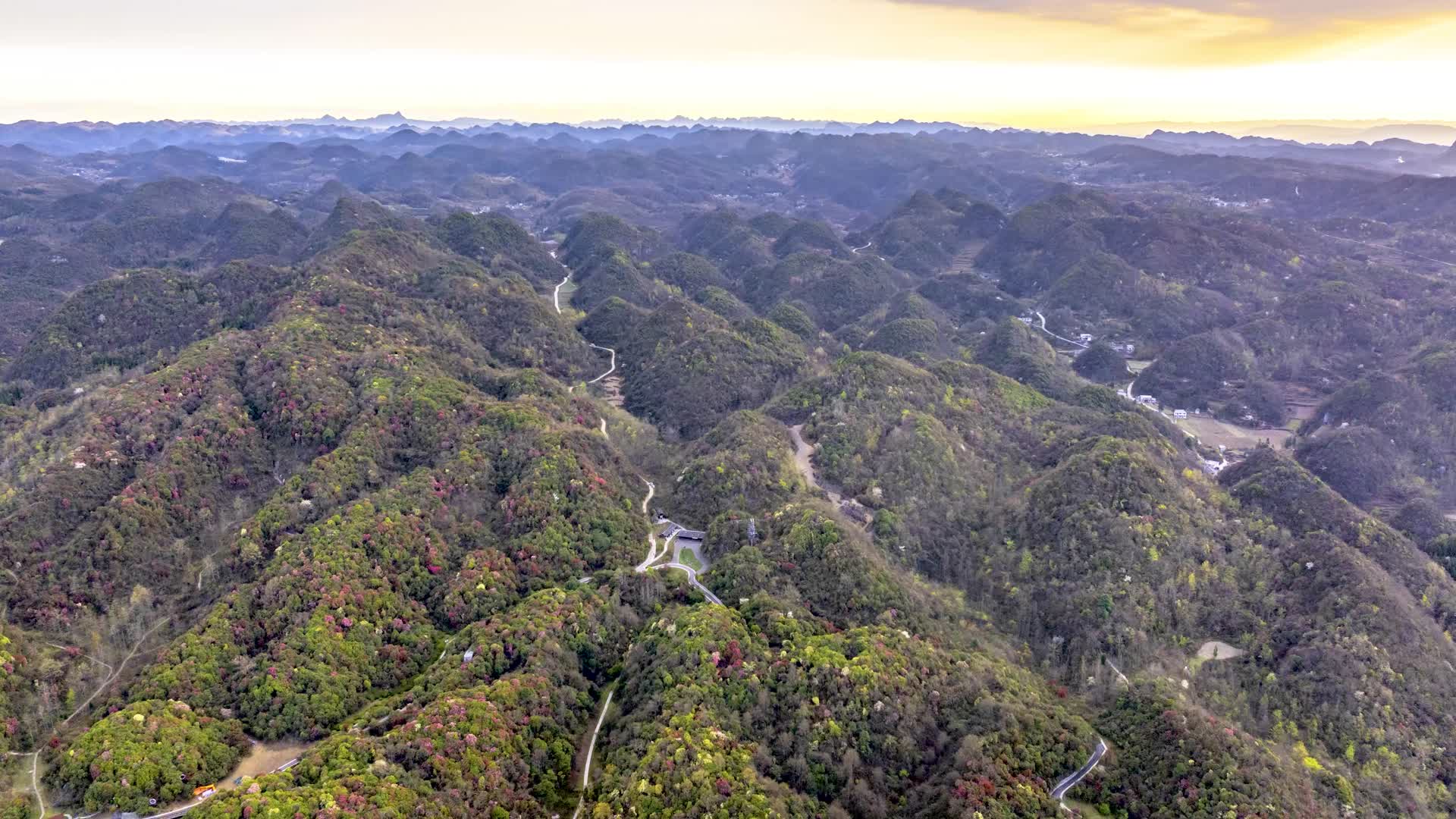 延时航拍毕节百里杜鹃金坡景区视频的预览图
