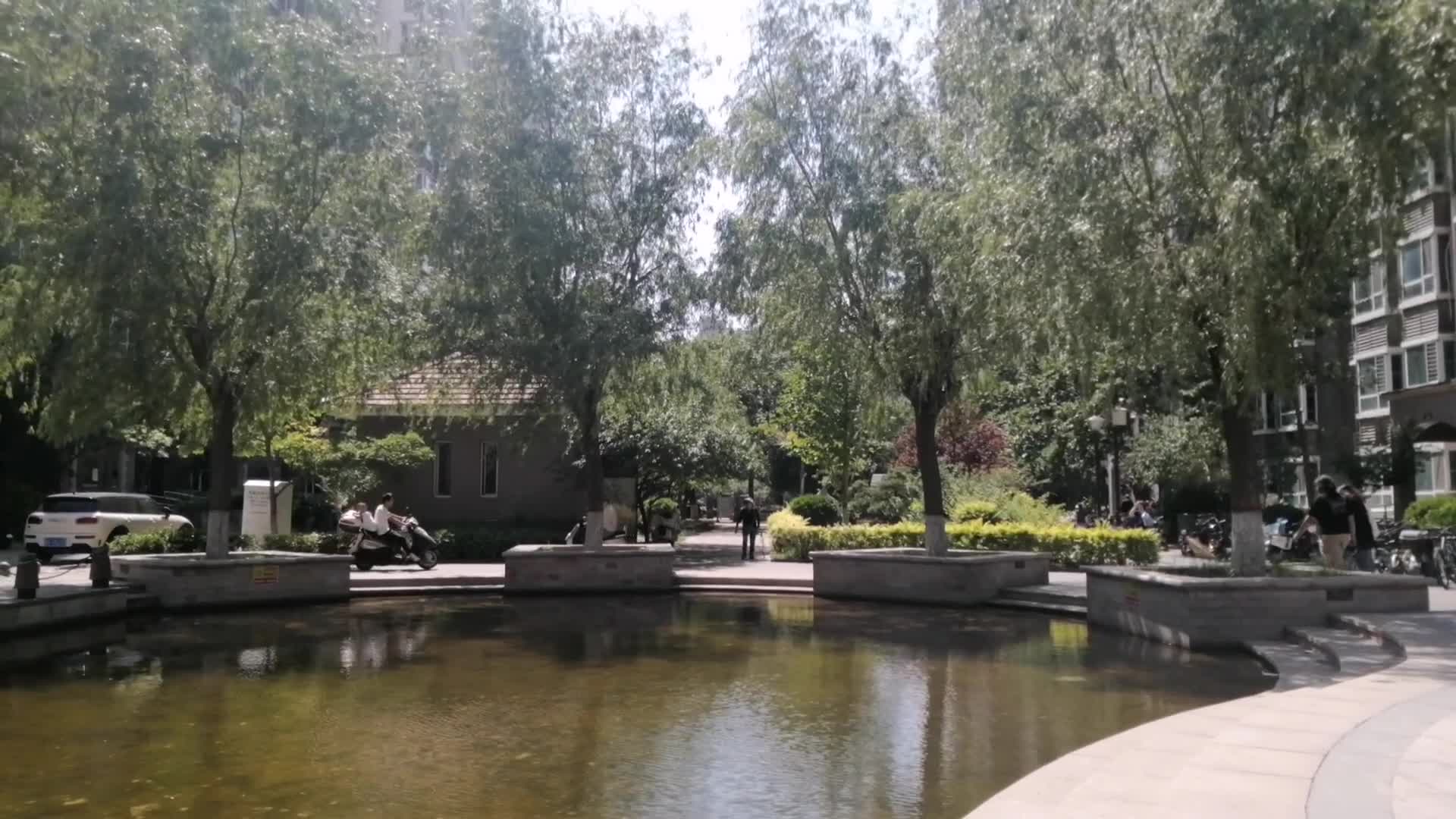 小区人工湖住宅楼凉亭树视频的预览图