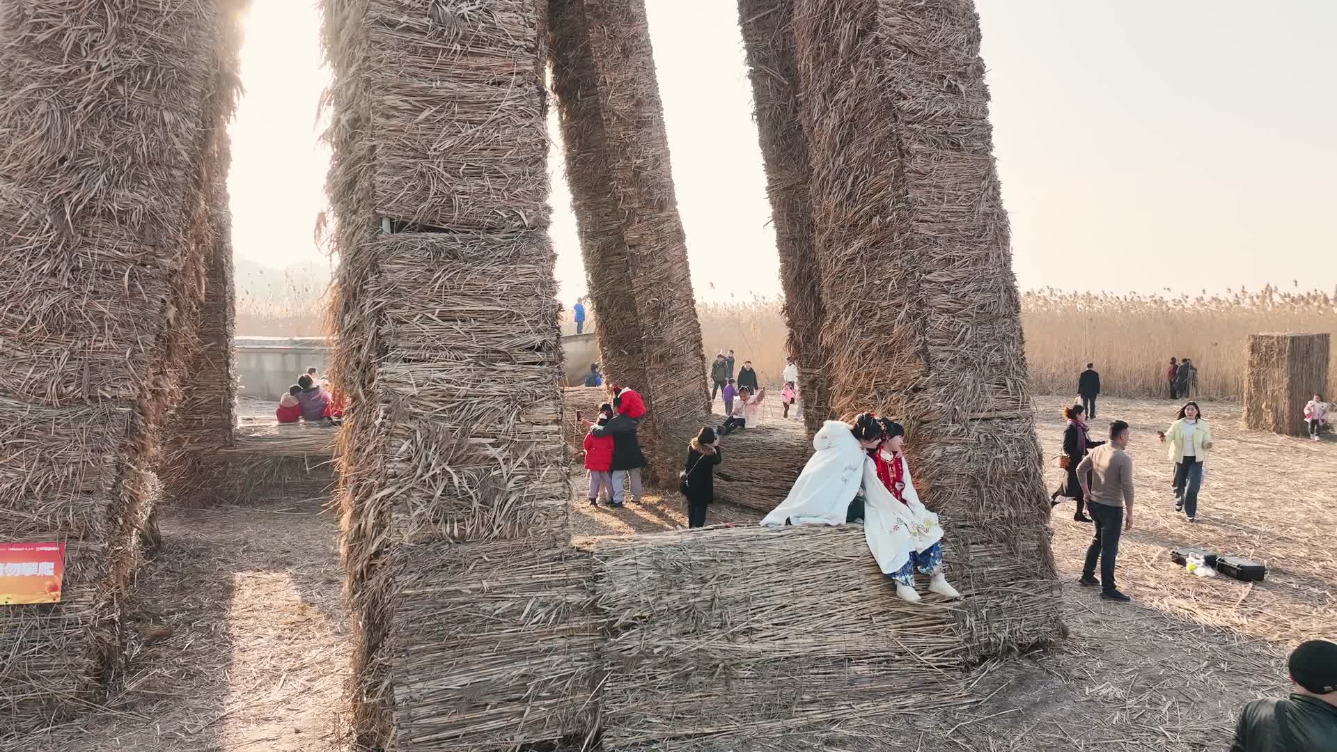 芦苇艺术节航拍视频的预览图