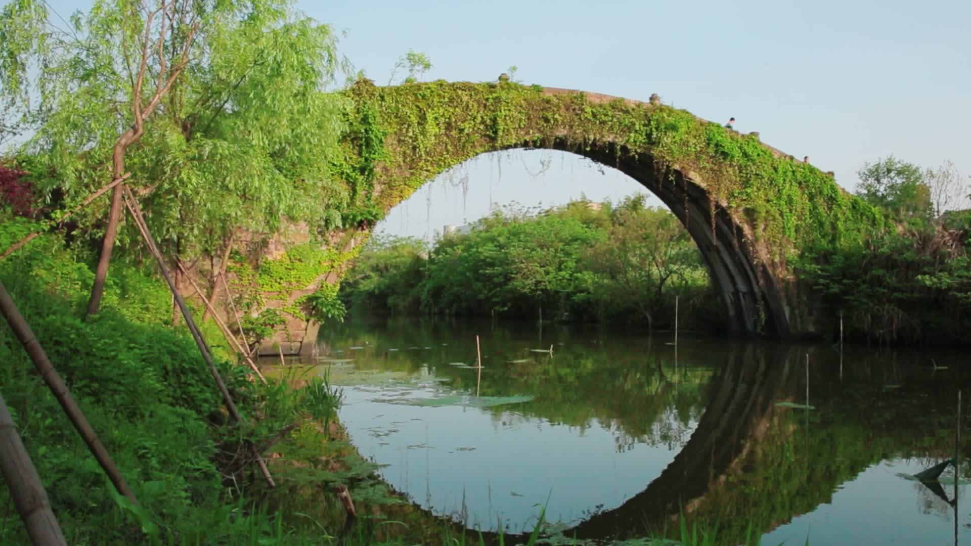 德清县寿昌桥古桥从春天到冬天变化视频的预览图