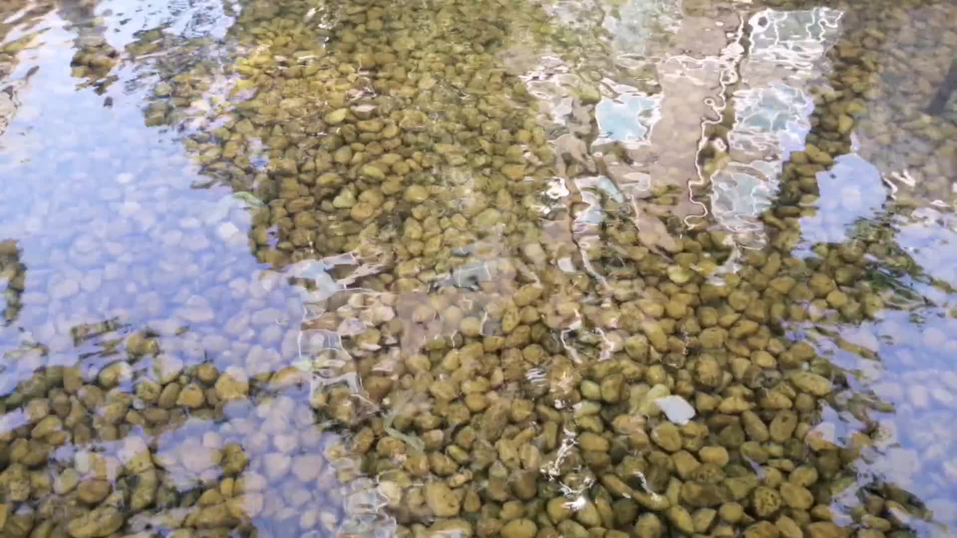 流动的溪水鹅卵石小石子视频的预览图