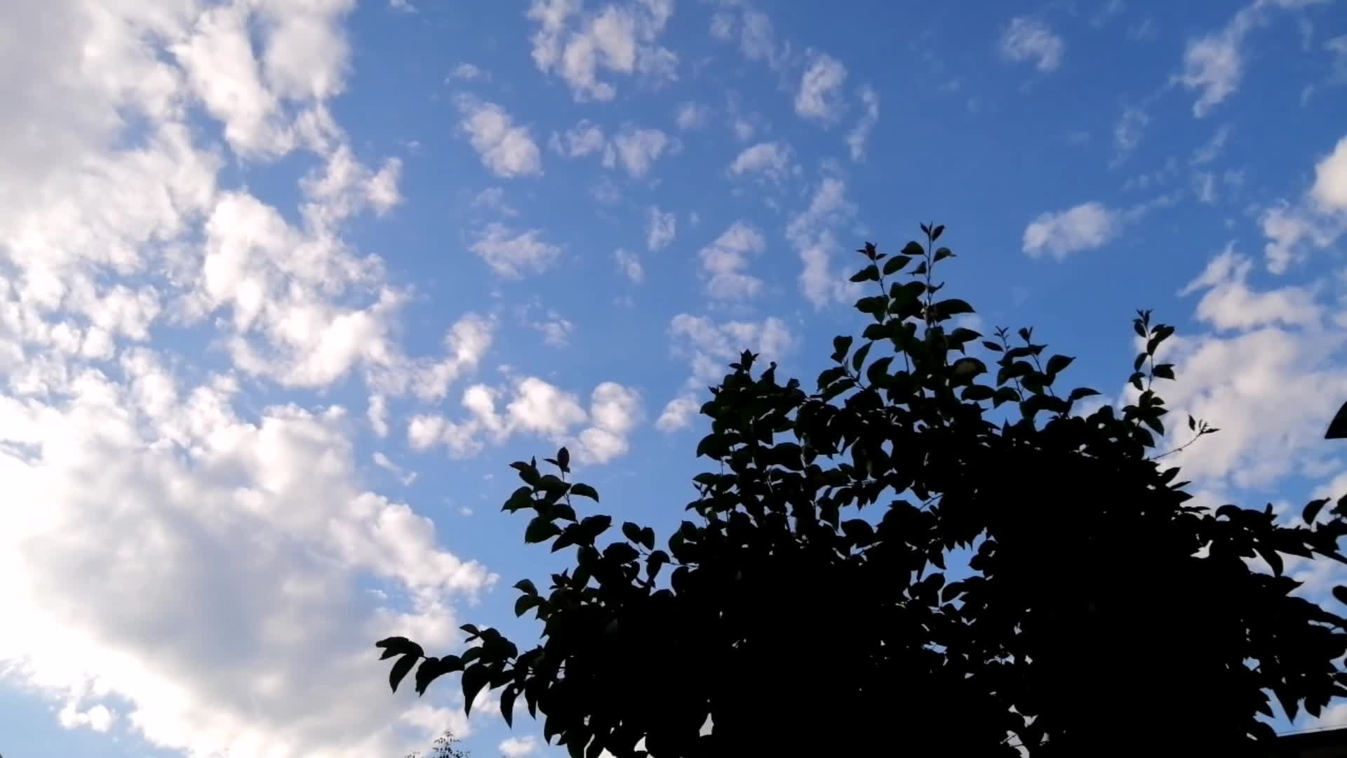 晴天蓝天天空白云云朵延时视频的预览图