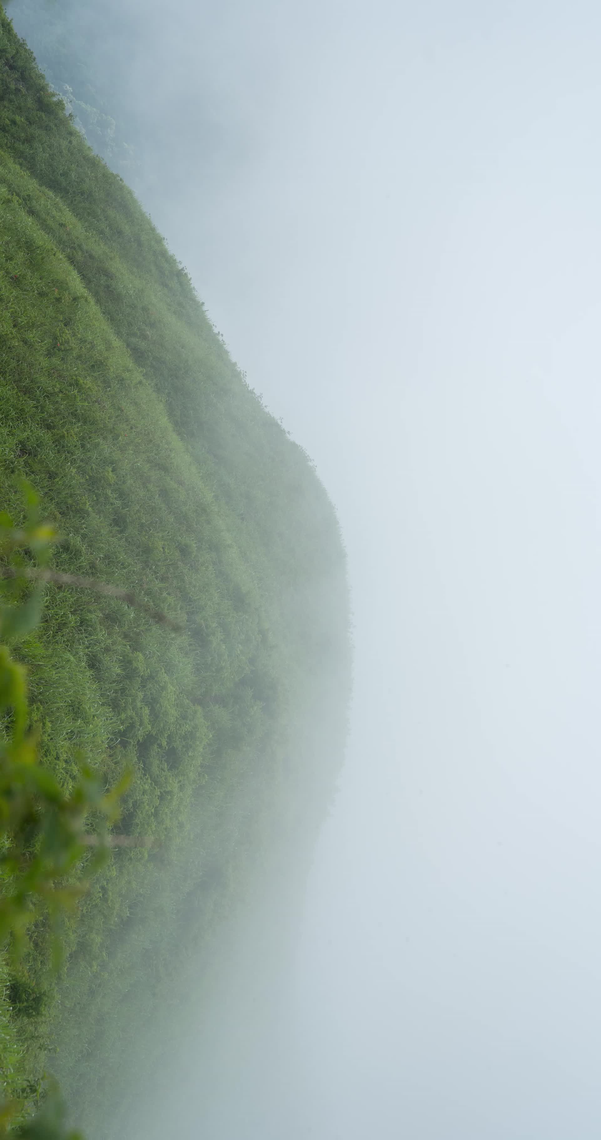 武功山的雾竖屏视频的预览图