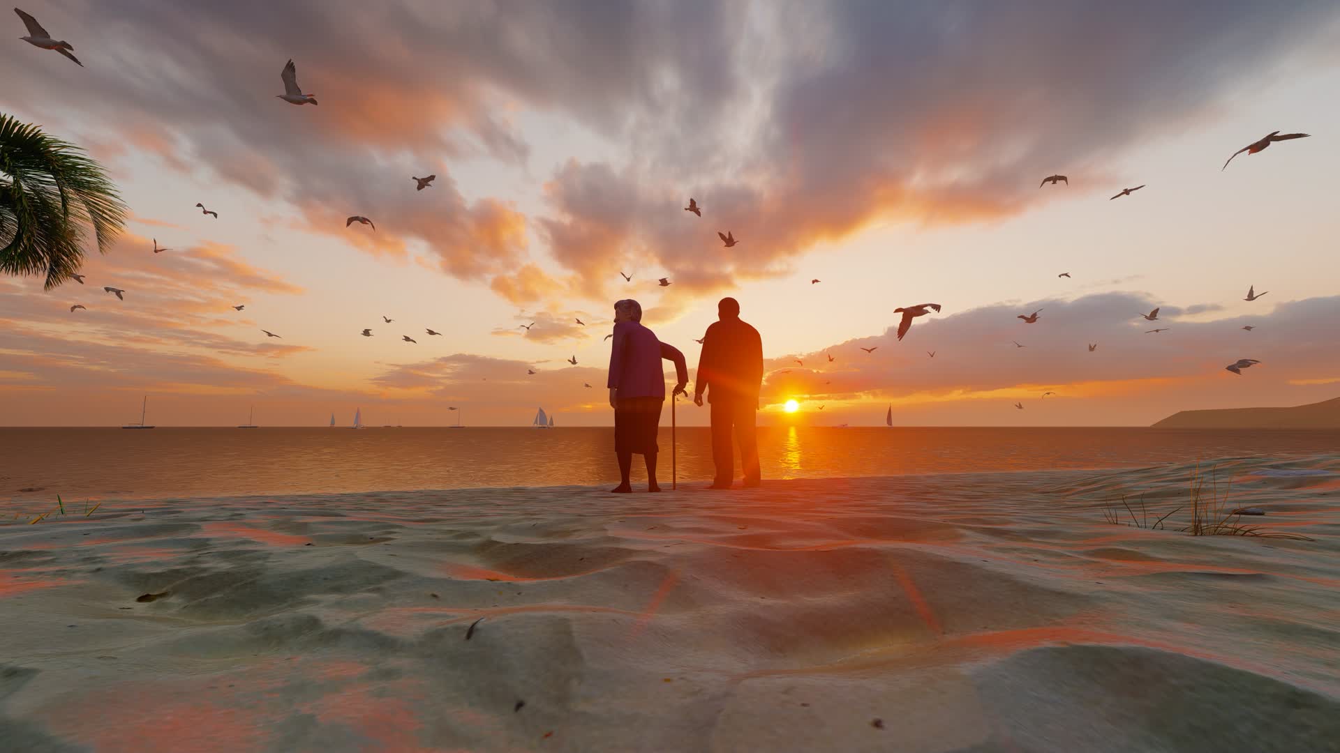 沙滩上看夕阳的老年夫妇背影视频的预览图