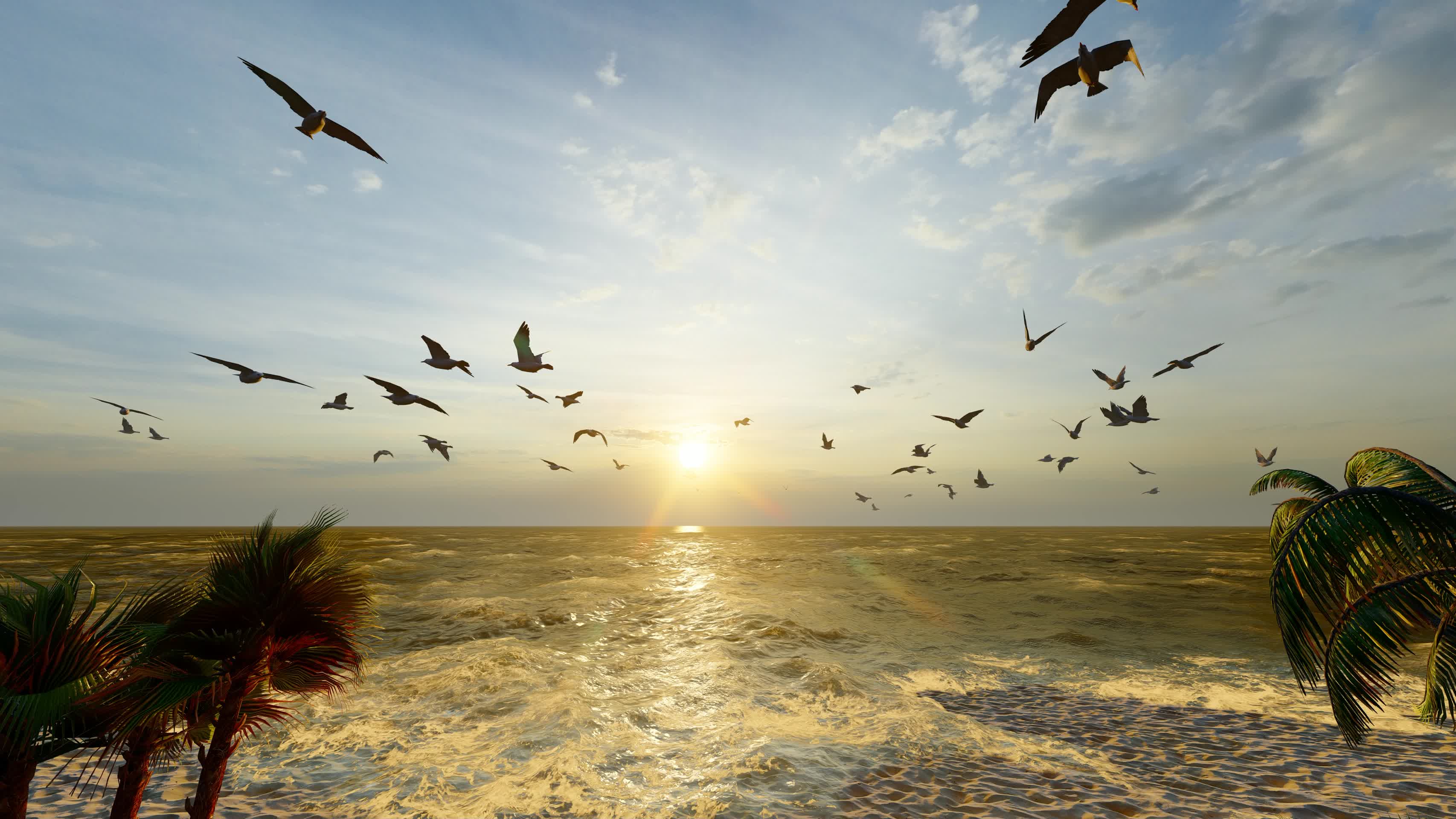 大海沙滩上自由飞翔的海鸥视频的预览图