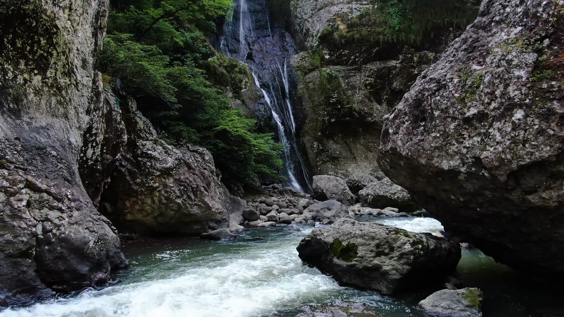 4k大自然高山流水小溪森林树木视频的预览图