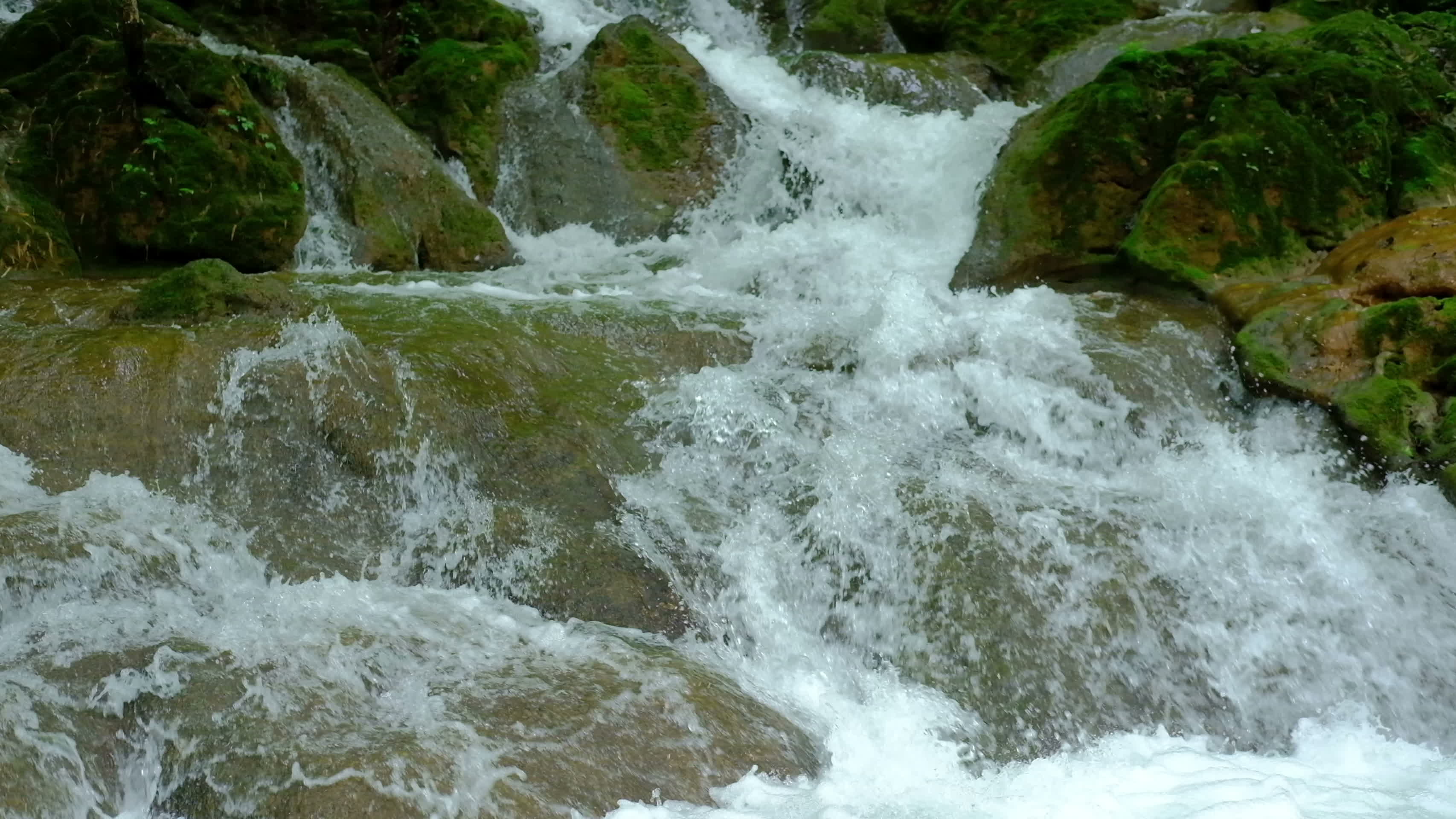 4k小溪流水河流石头树木自然界视频的预览图