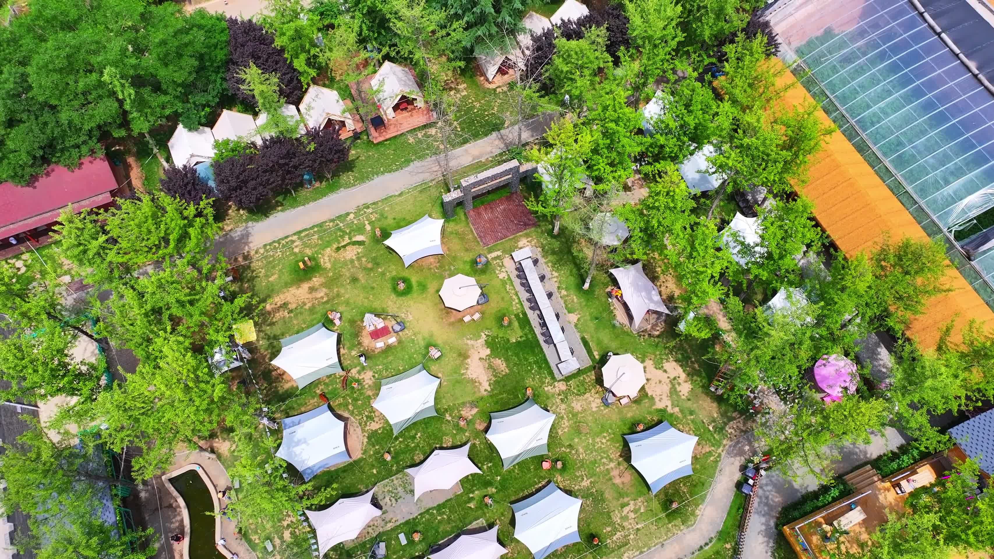 露营地航拍夏季绿树帐篷视频的预览图