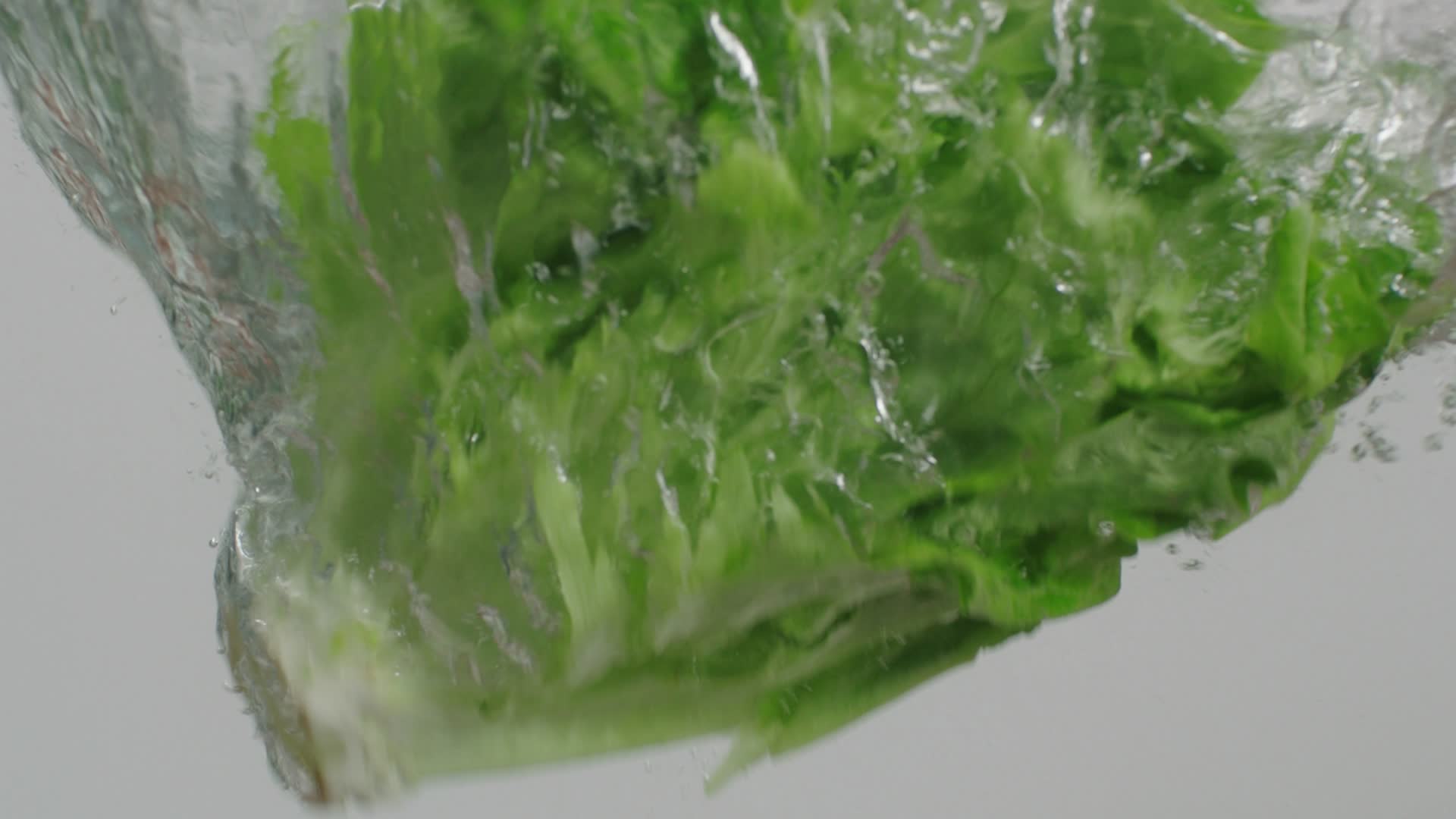 韭黄生菜大蒜蚕豆入水升格视频的预览图