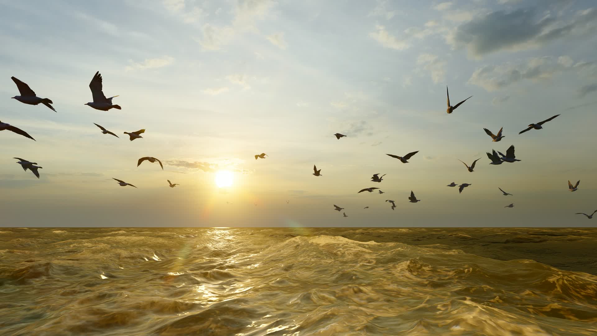 航拍夕阳下的海鸥群视频的预览图