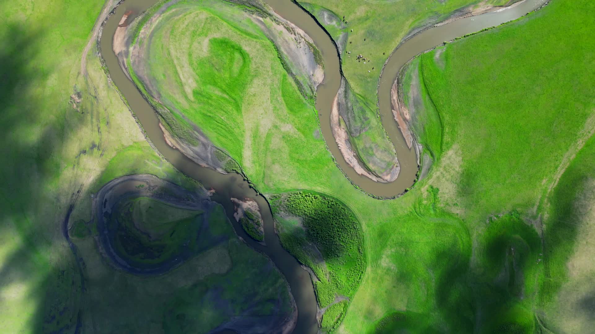 呼伦贝尔莫日格勒河大草原航拍4K60视频的预览图
