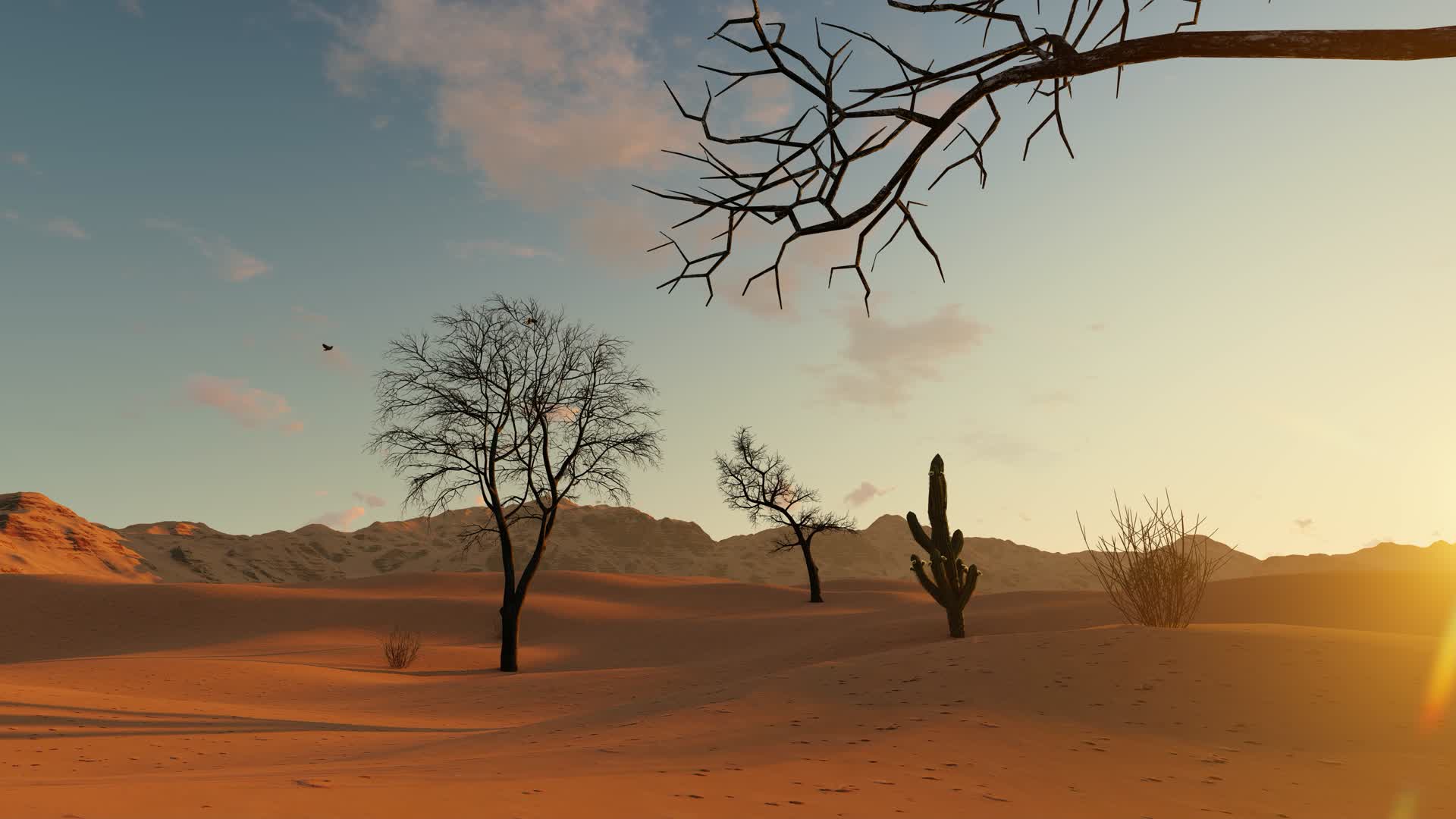 土地沙漠化和干旱贫瘠的沙漠景观视频的预览图