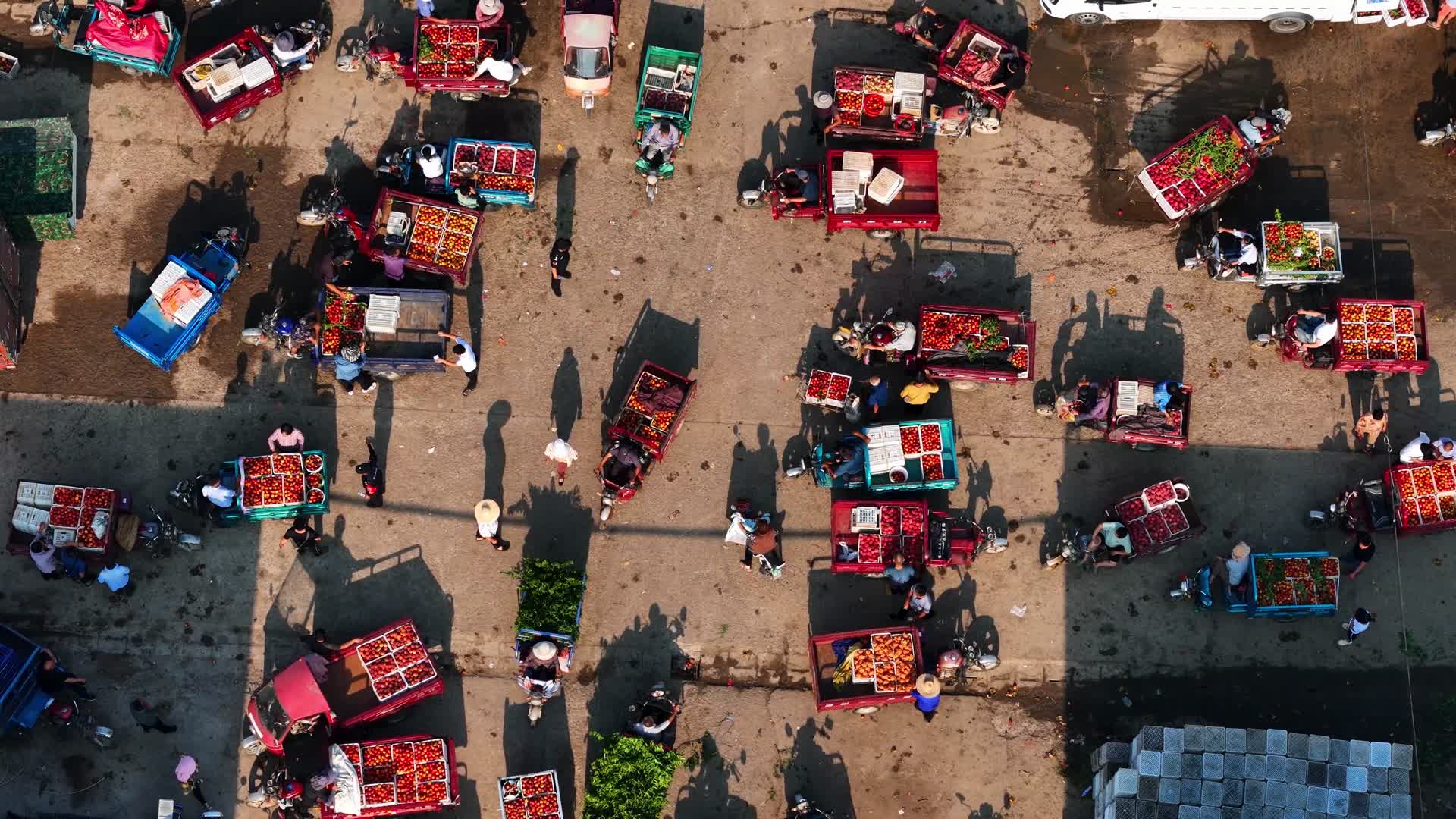 航拍清晨的山亭区果品市场视频的预览图