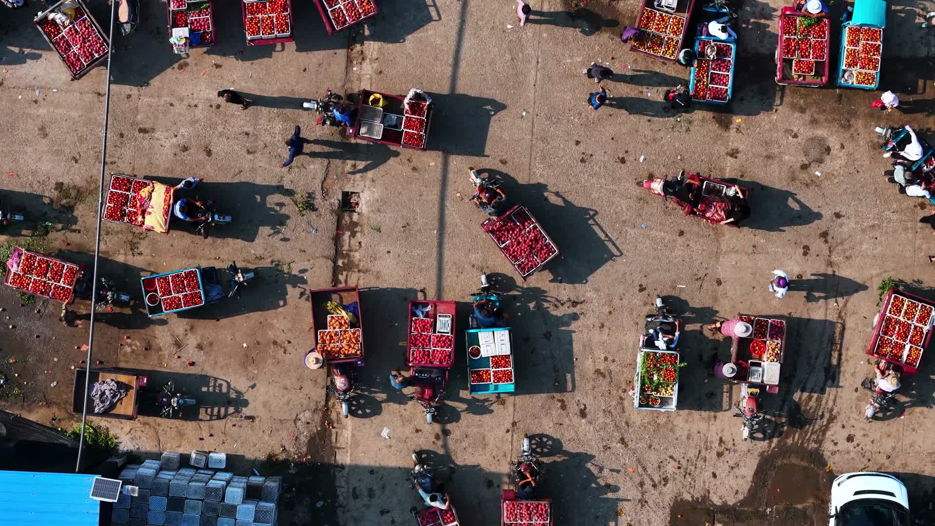 航拍清晨的山亭区果品市场视频的预览图