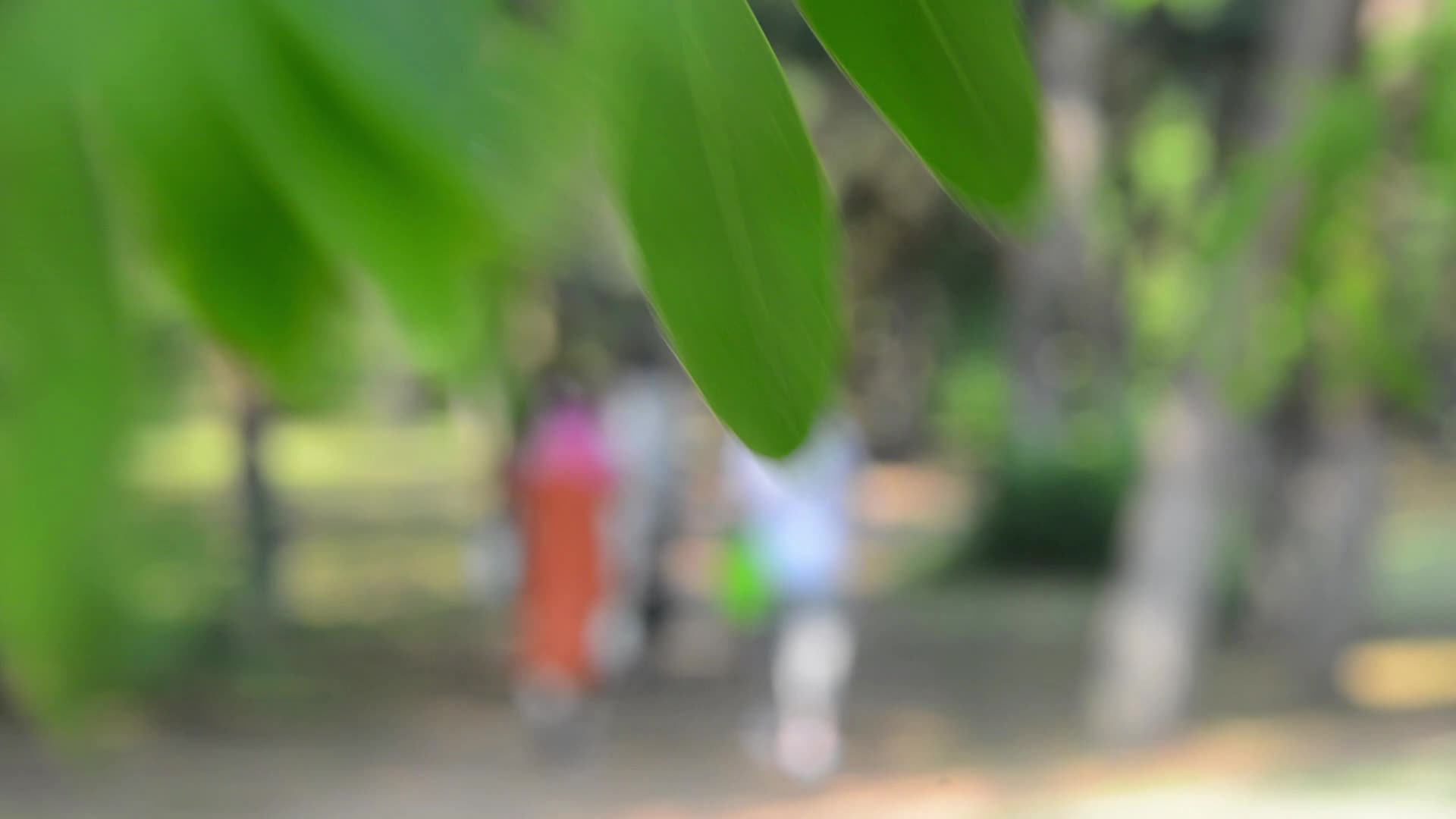 夏日森林公园树叶随风摆老年人避暑视频的预览图