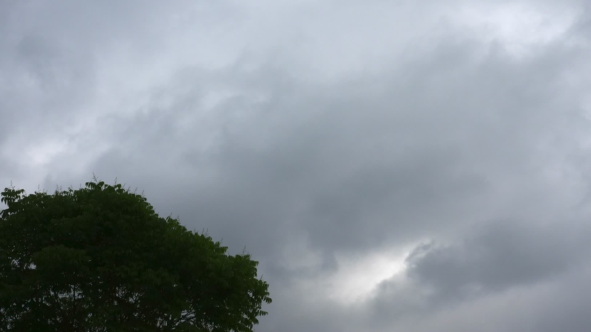 树顶上的云层延时视频的预览图