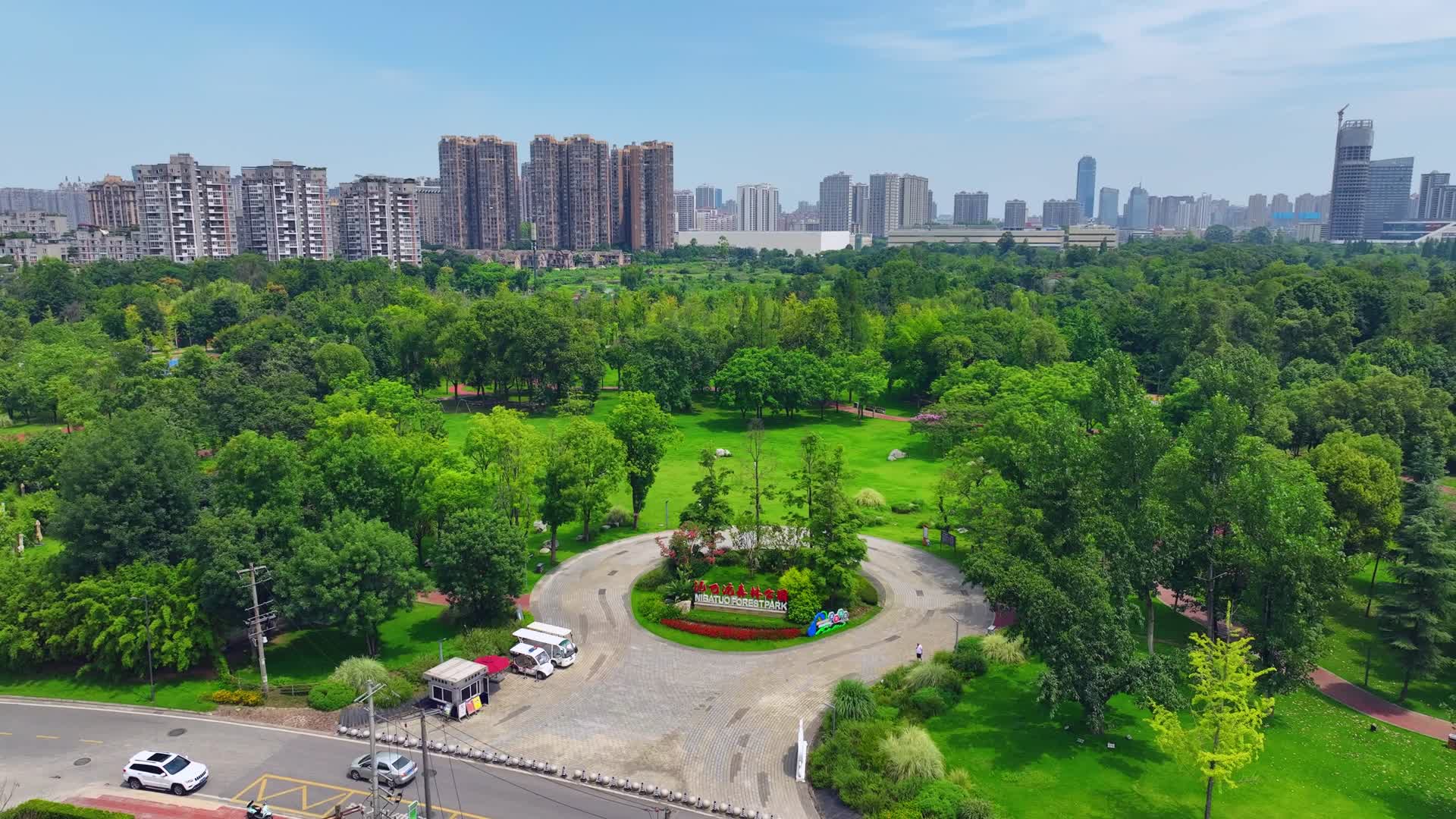 泥巴沱森林公园视频的预览图