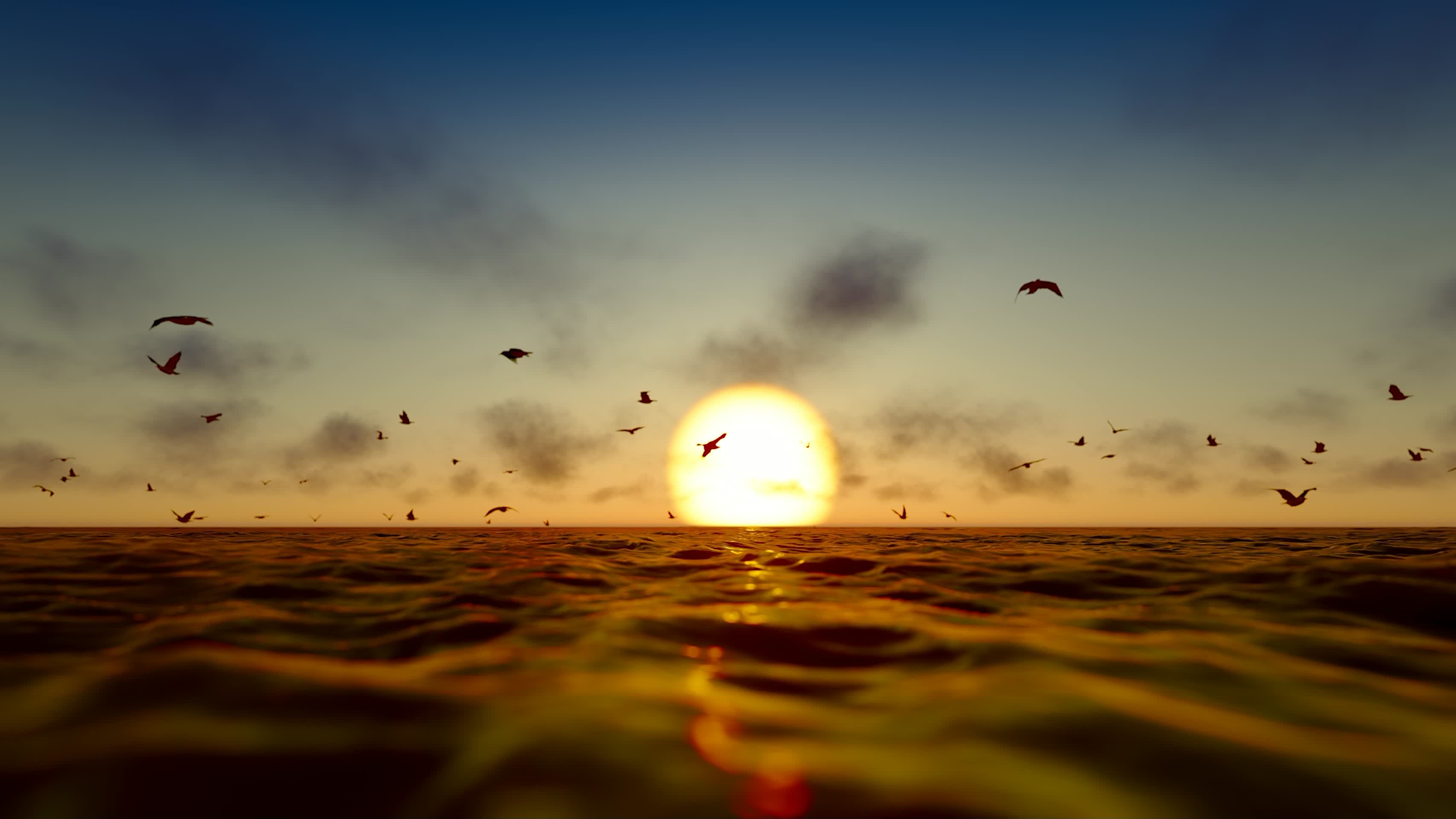 大海上飞舞的海鸥群视频视频的预览图