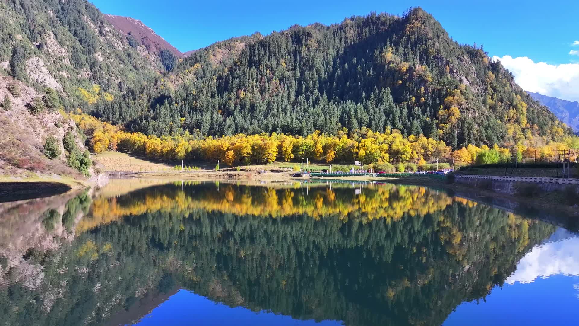 航拍青海门源浩门河仙米国家森林公园大通河秋景视频的预览图