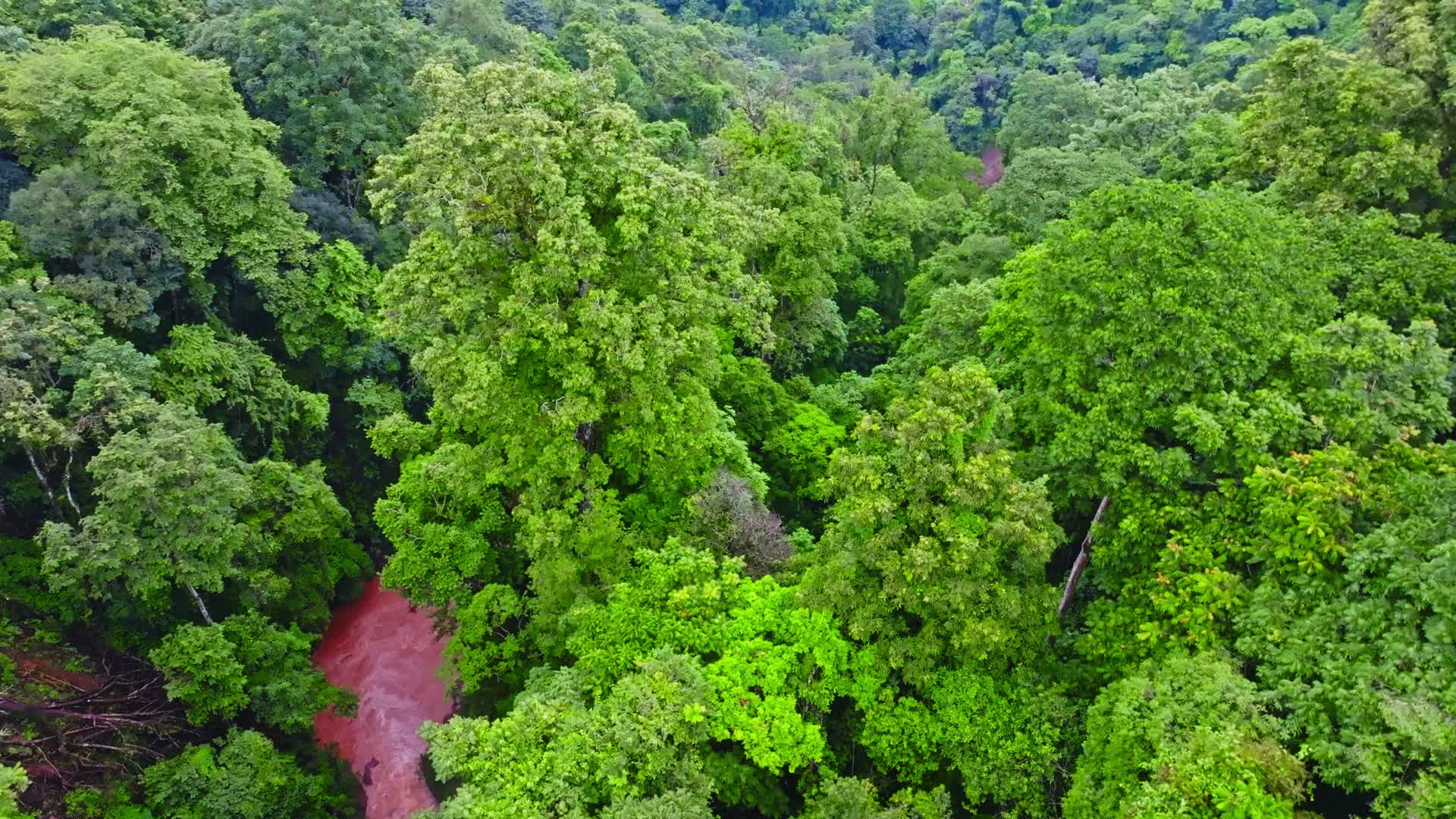 云南普洱西盟勐梭里坎热带雨林山洪河水航拍视频的预览图
