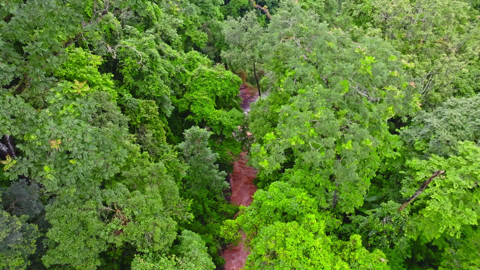 云南普洱西盟县热带雨林雨后森林山洪航拍视频的预览图