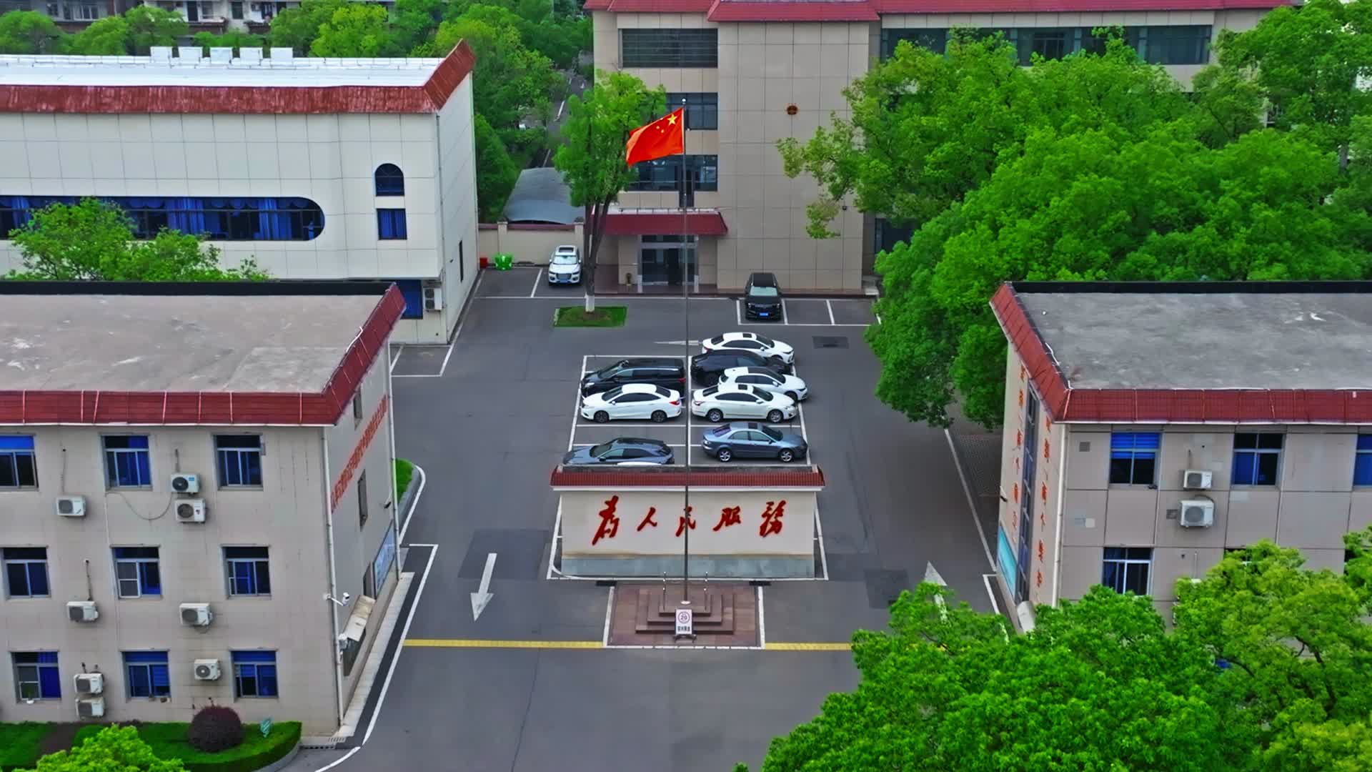 枝江市人民政府视频的预览图